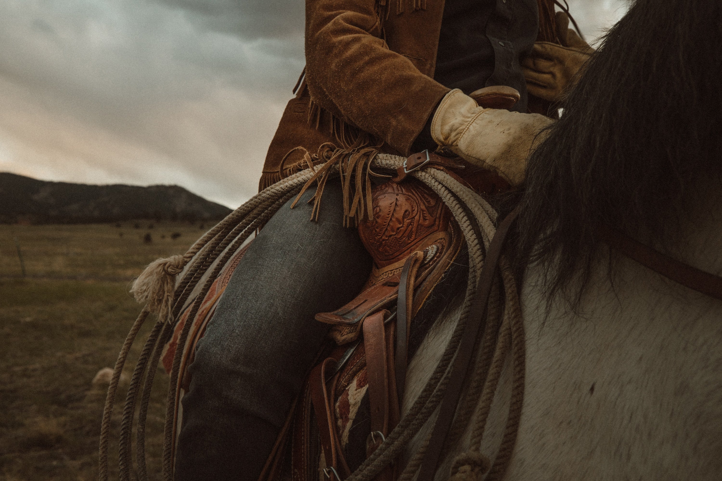 Old West Cowboy History: 5 Books Worth Reading (Book Notes)