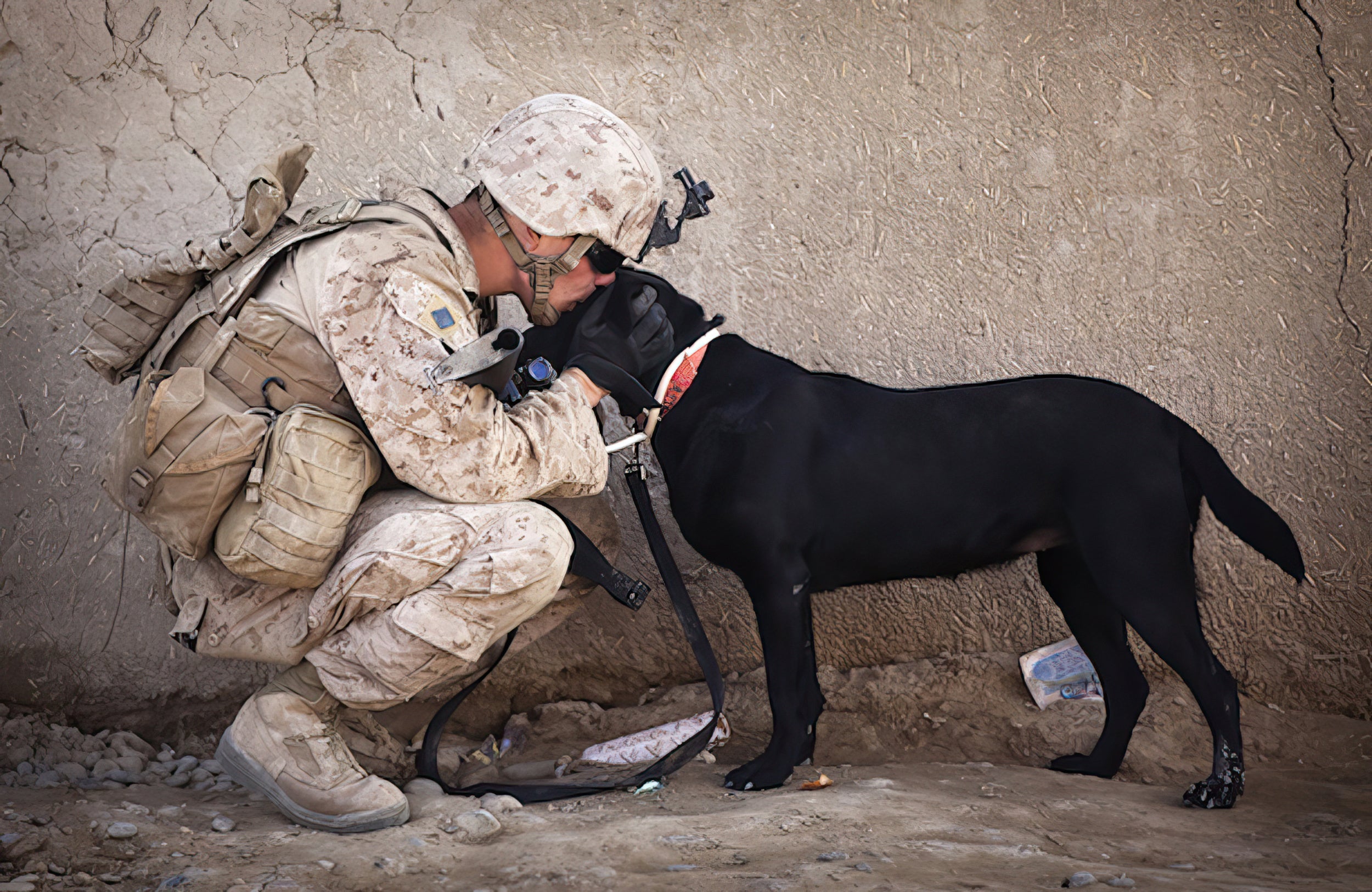 Devil Dogs Charity Partner: Canines for Veterans - Image of Marine and dog