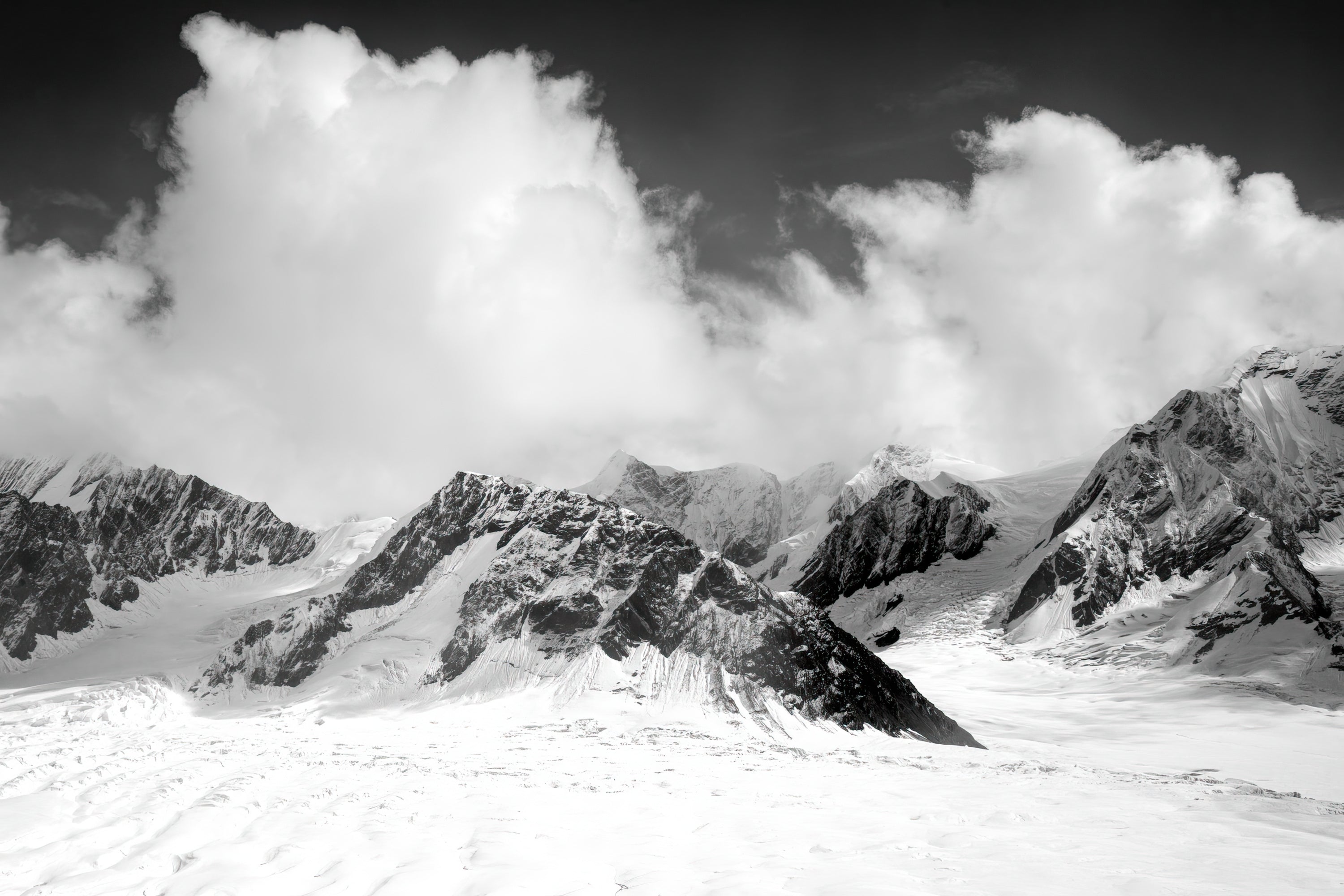 Denali Snow (Photography)