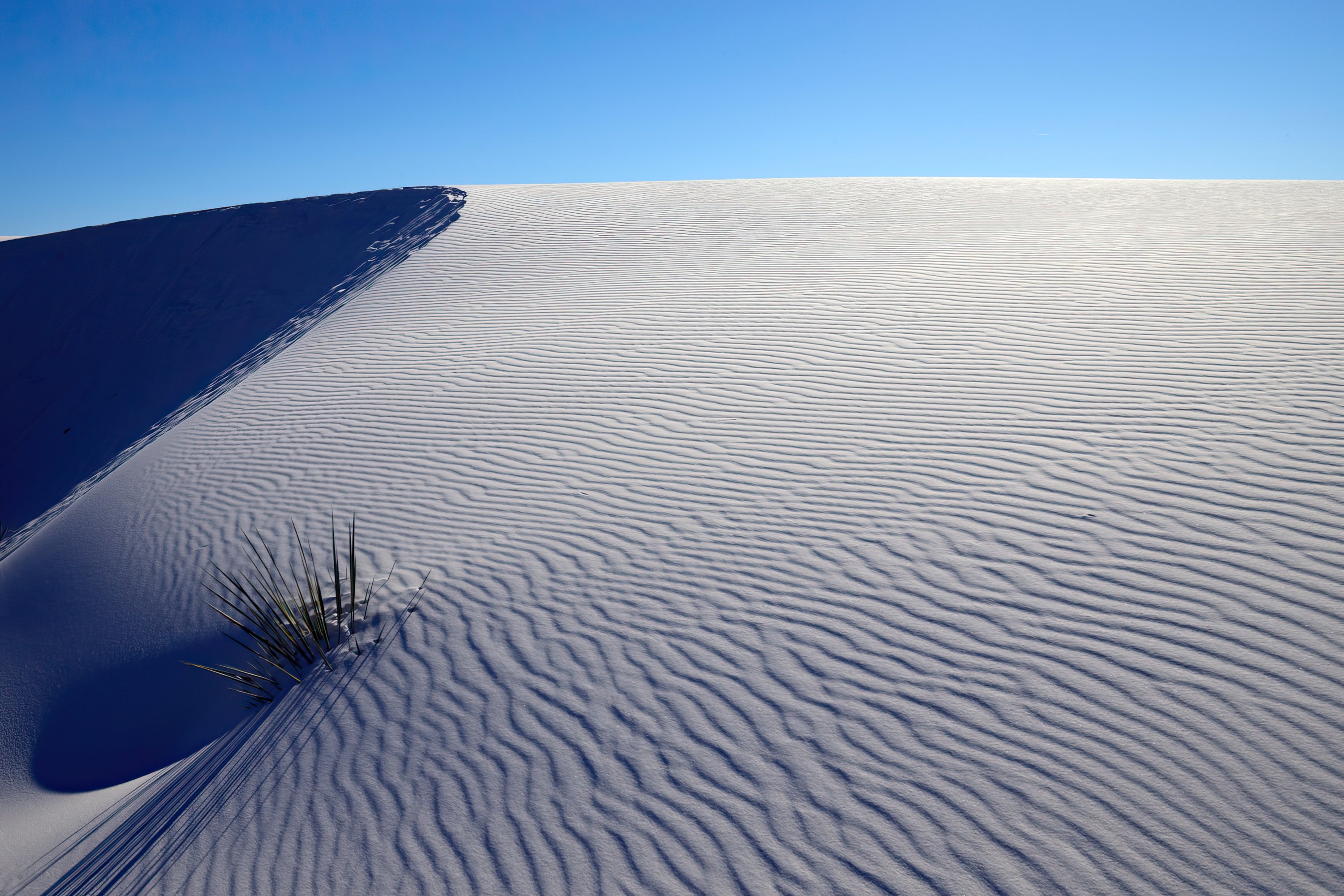 Drifting Sands (Photography)