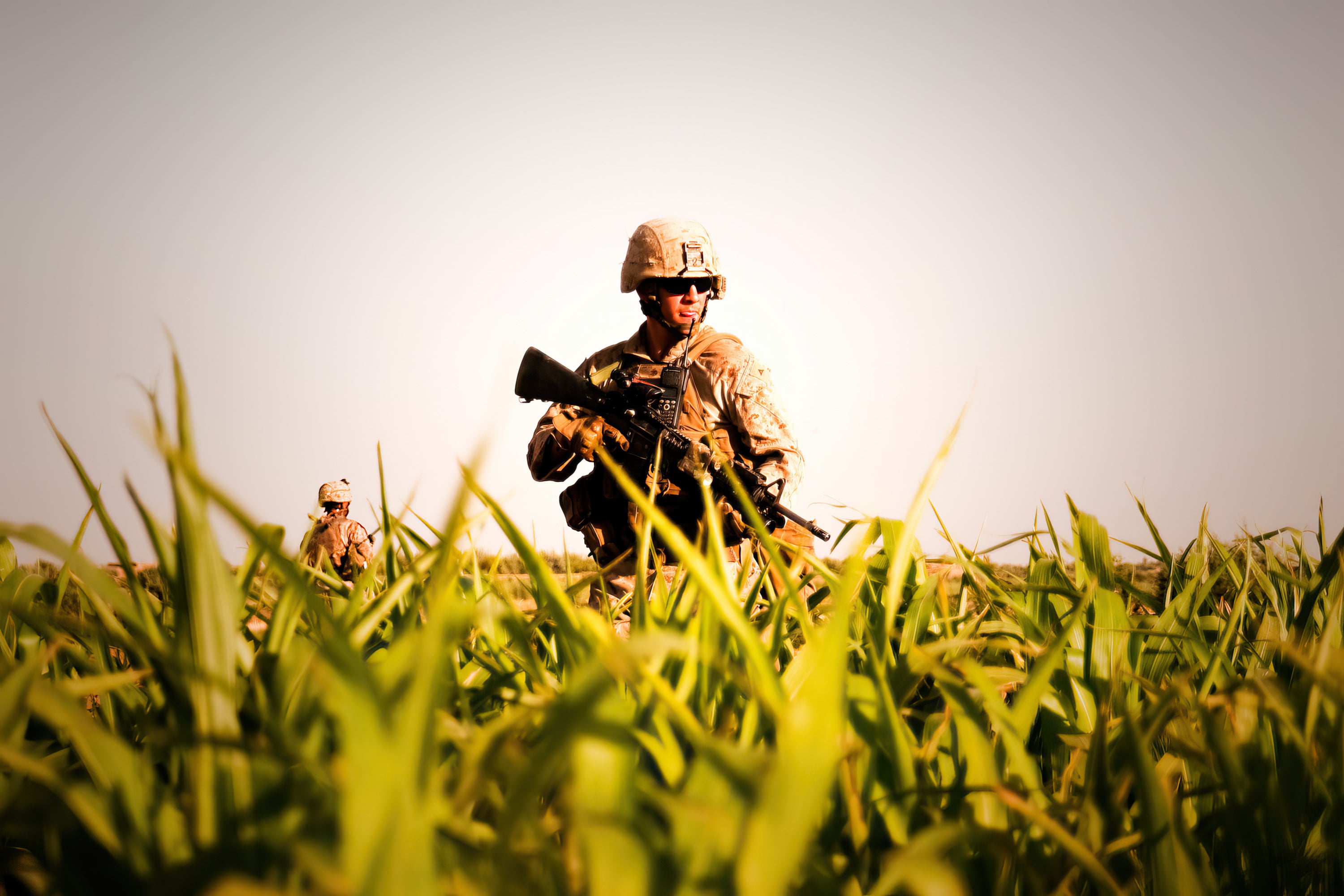 Farmland Patrol - Marines, Afghanistan (Photography)