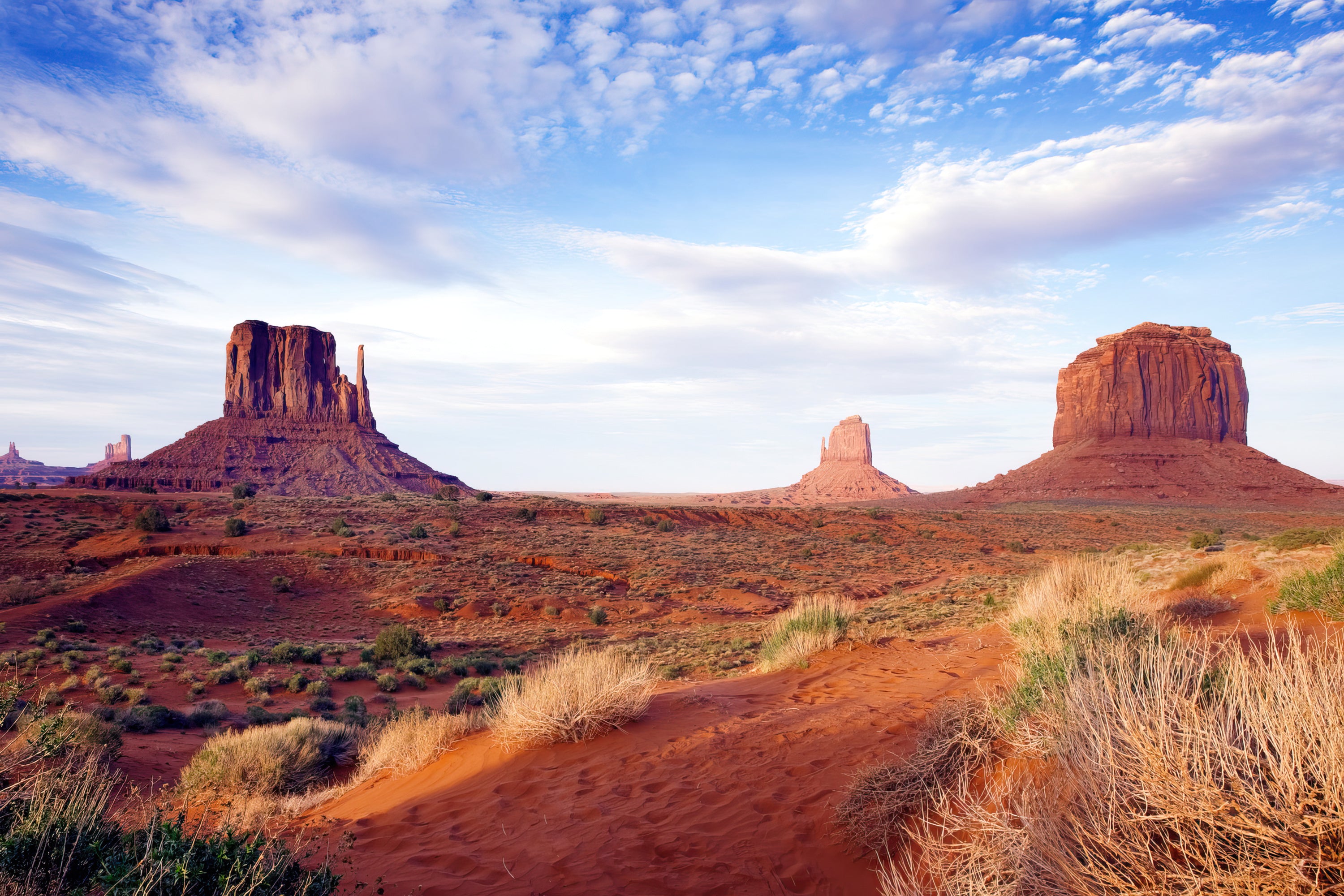 Monument Valley View (Photography)