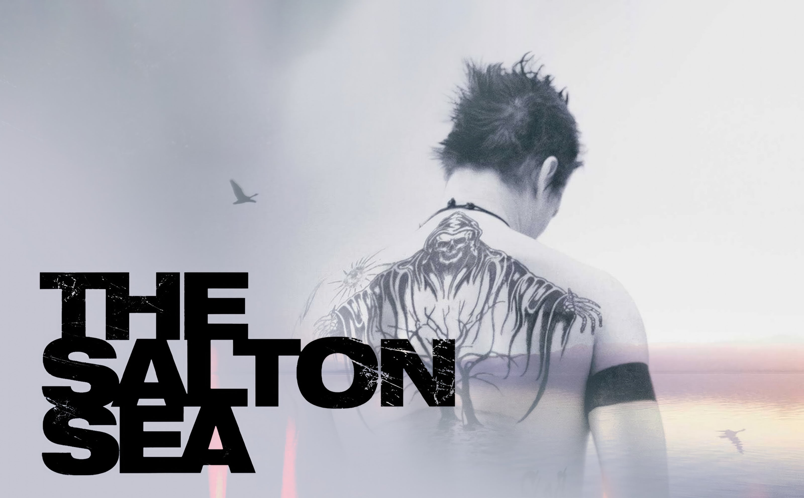 The Salton Sea (Script)