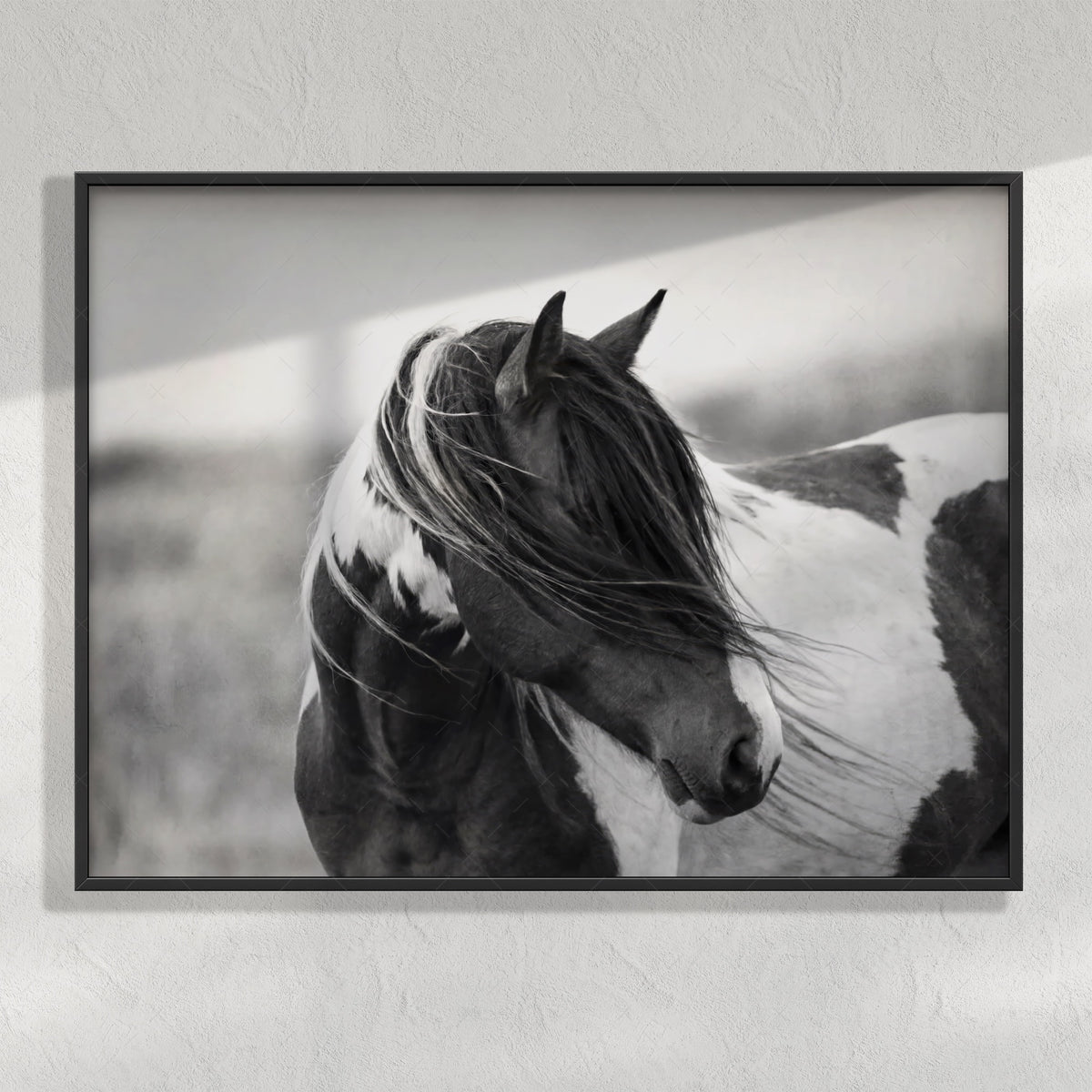 American Paint Horse: Western Black & White Photo Art Print