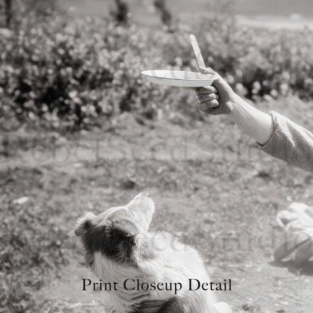 Cowboy & Dog Pardner: Funny Vintage Western Black & White Photo Art Print