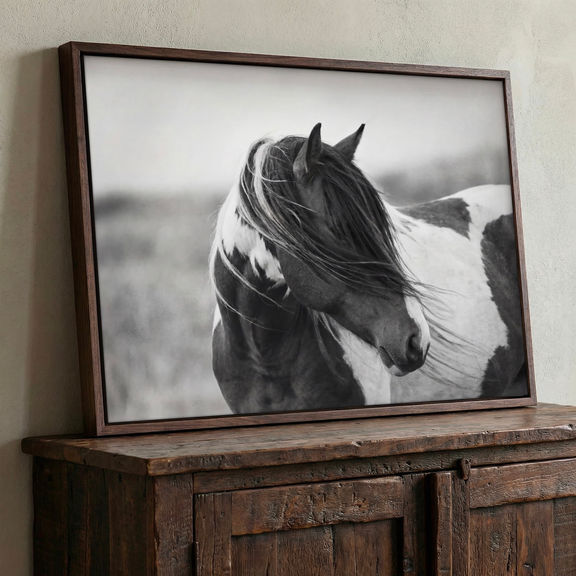 American Paint Horse: Western Black & White Art Print