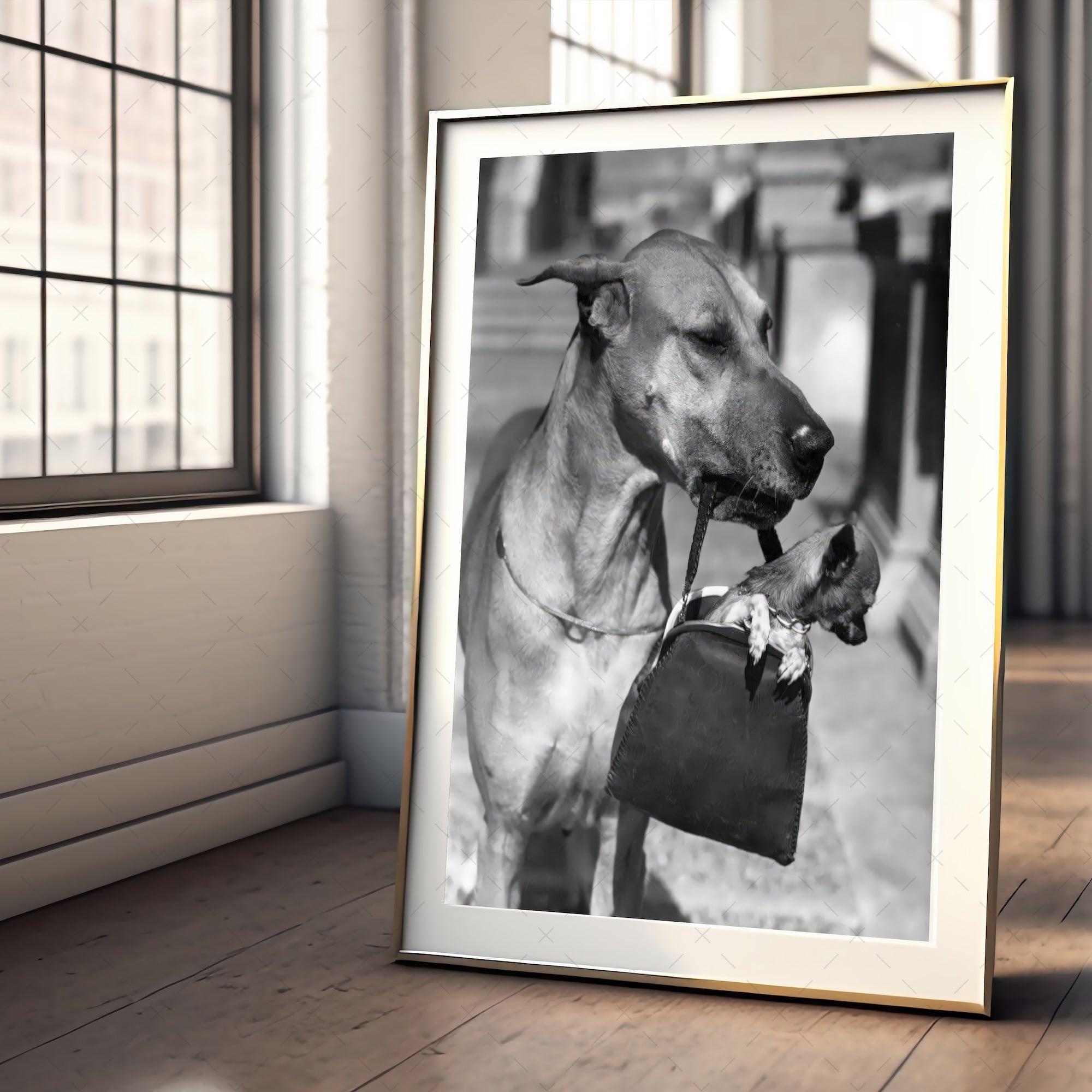Chihuahua Purse: Great Dane and a Tiny Dog - Funny Vintage Black & White Photograph (Art Print)