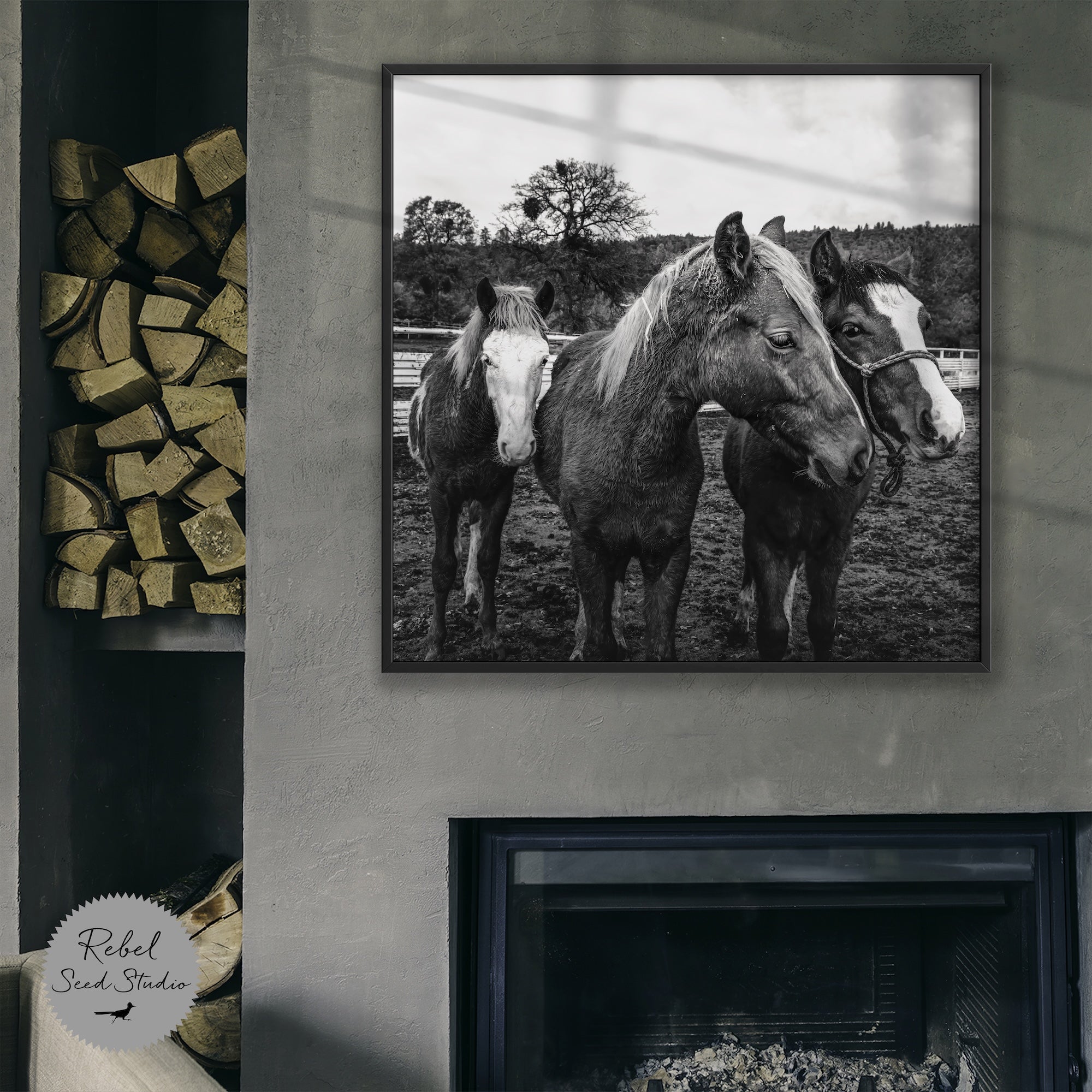 Corral Horses: Western Black & White Photograph (Canvas or Fine Art Poster Print)