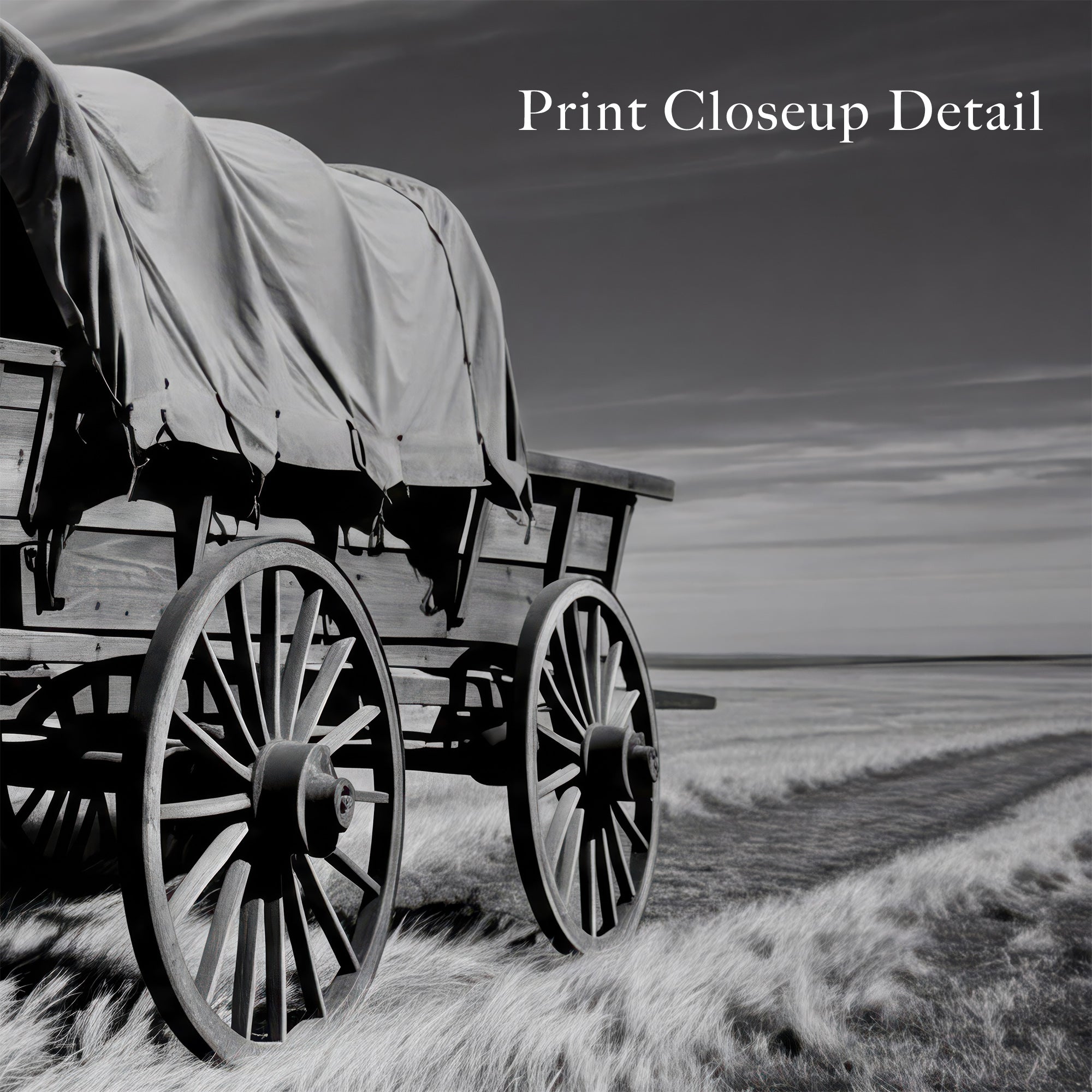 Covered Wagon on the Prairie: Vintage Old West Conestoga Wagon - Black & White Frontier Photo Art Print