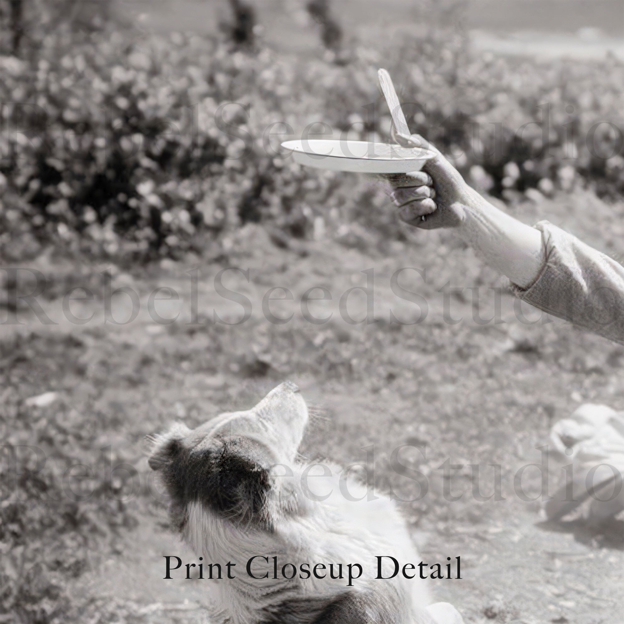 Cowboy & Dog Pardner: Funny Vintage Western Black & White Photograph (Art Print)