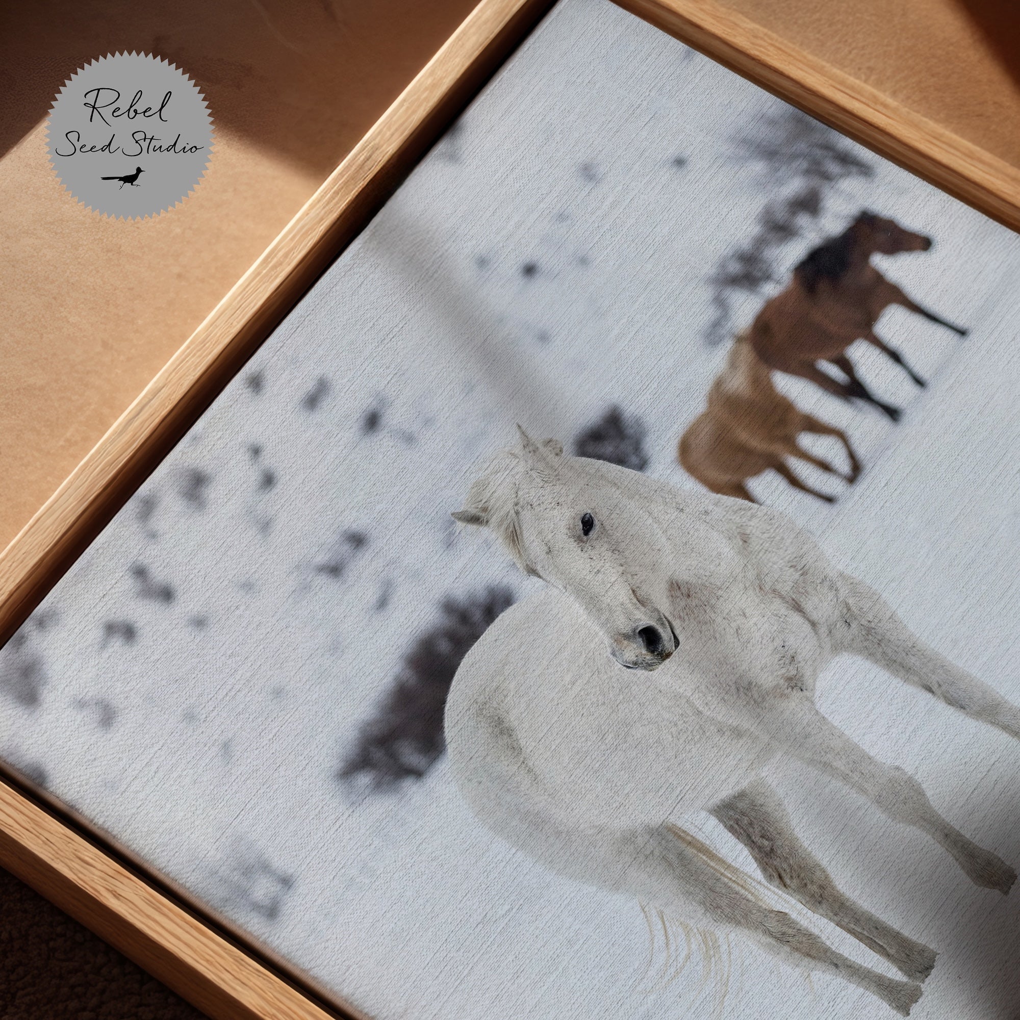 Curious Snow Horse: Whimsical Western Photograph (Art Print)