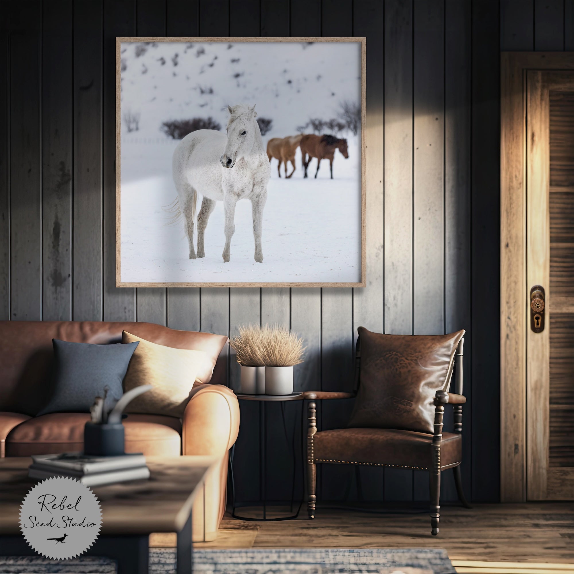 Curious Snow Horse: Whimsical Western Photograph (Art Print)