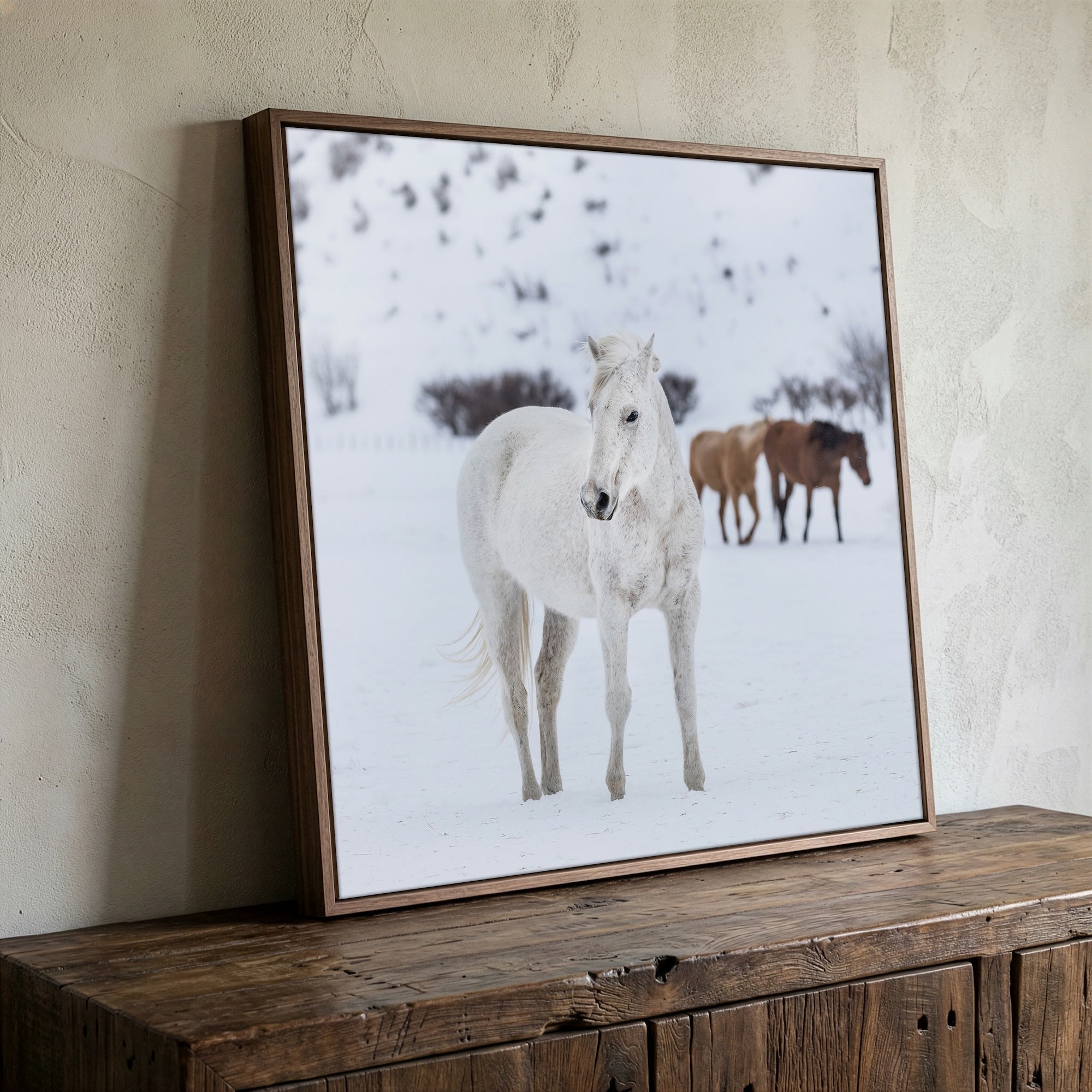 Curious Snow Horse: Whimsical Western Photograph (Art Print)