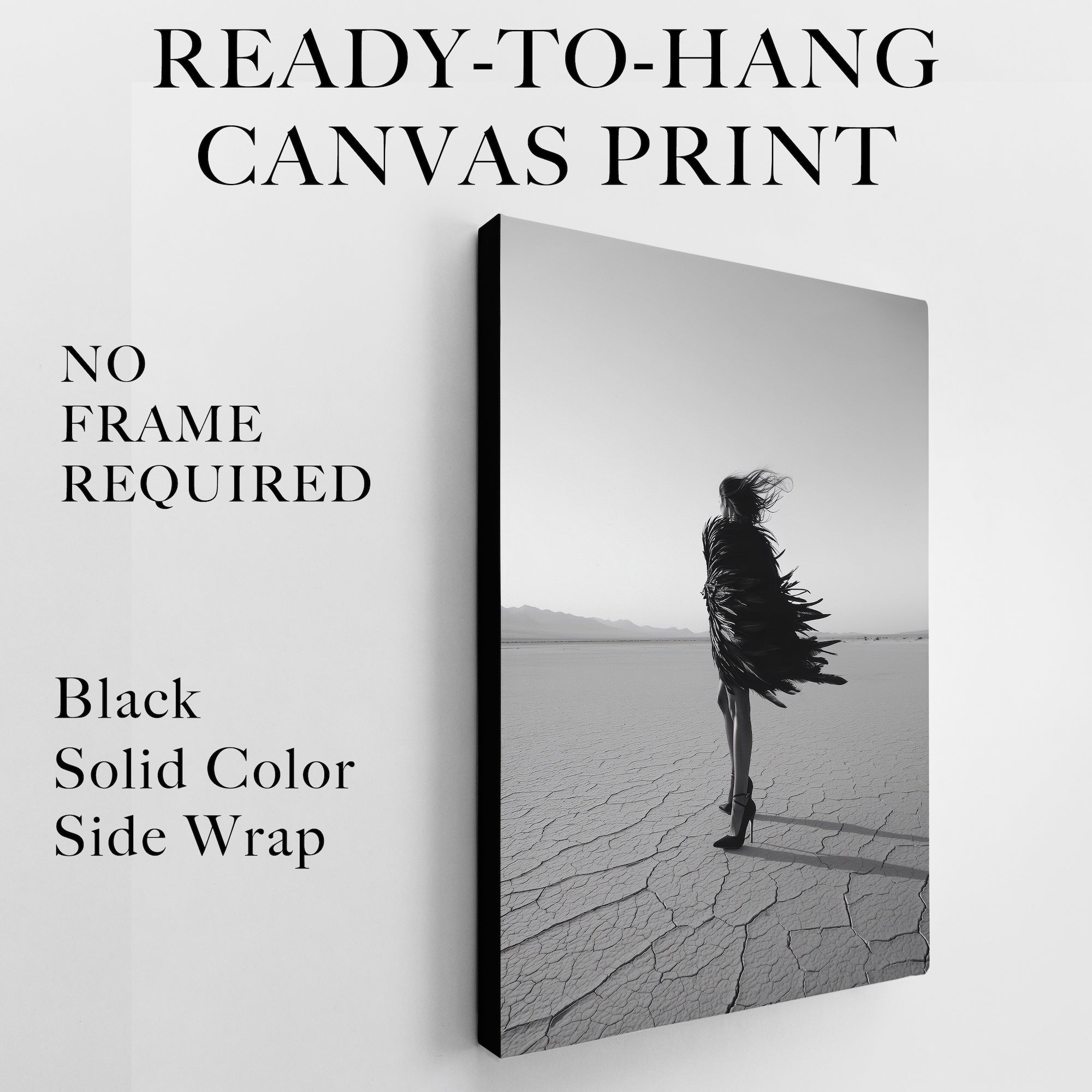 Las Vegas Showgirl: Feather Costume - Black & White Desert Photograph (Art Print)