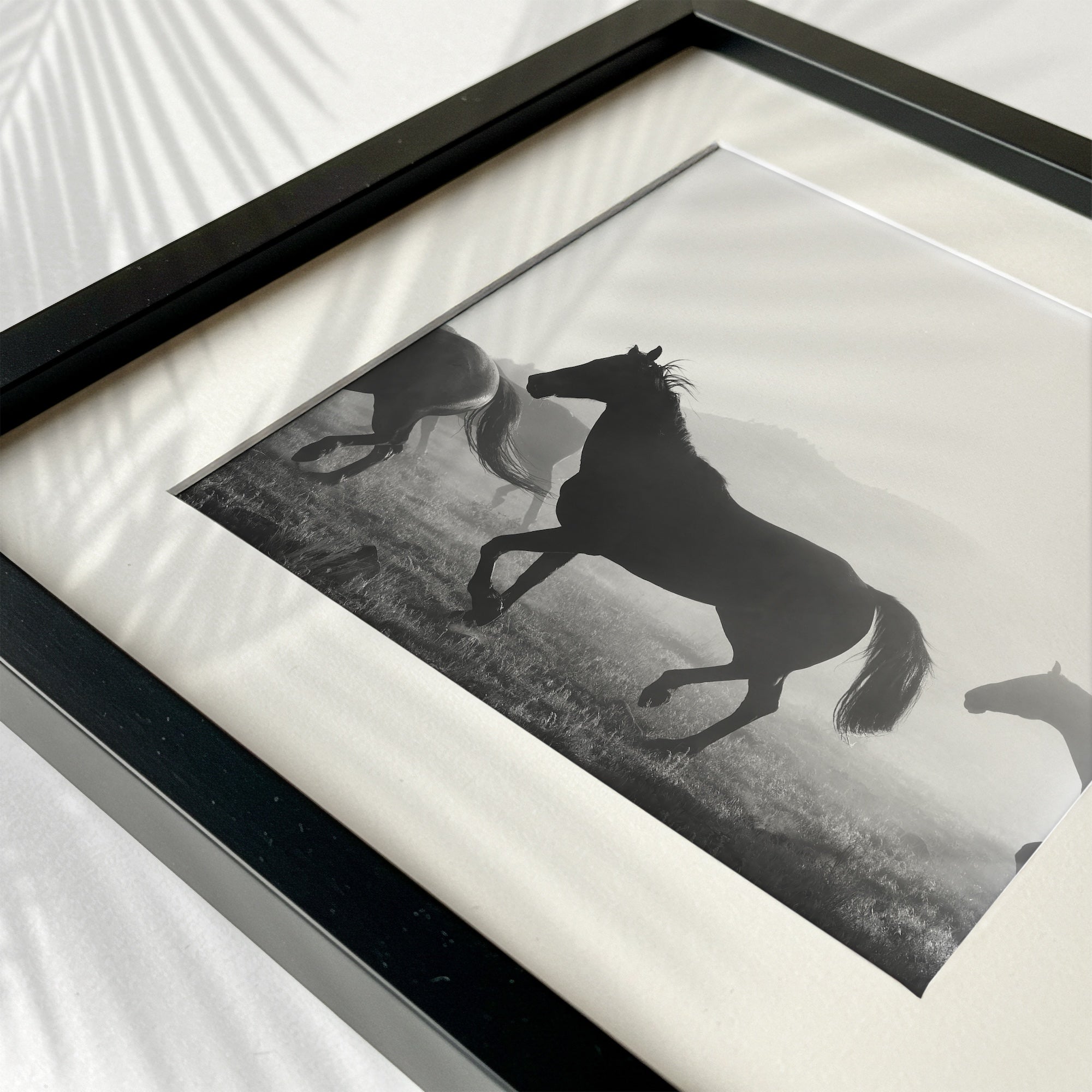 Horses: Western Black & White Photograph (Art Print)