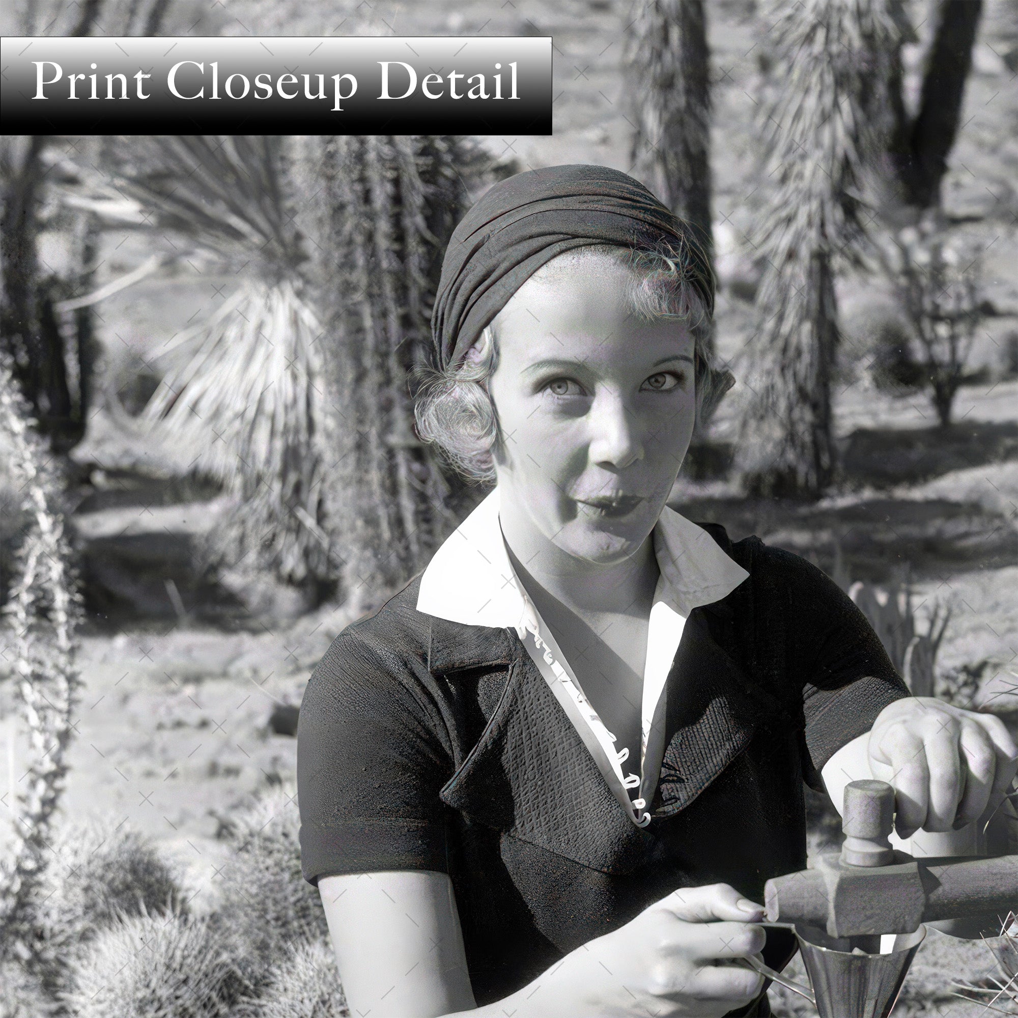 Prohibition in Palm Springs: Spiking the Barrel Cactus - Funny Vintage Black & White Photograph (Art Print)