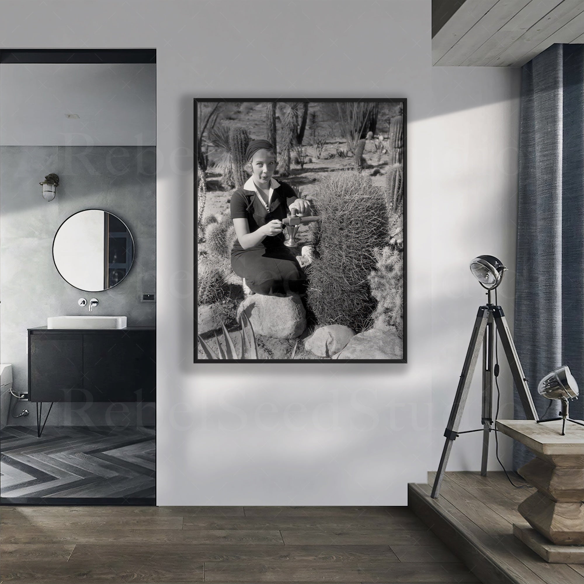 Prohibition in Palm Springs: Spiking the Barrel Cactus - Funny Vintage Black & White Photograph (Art Print)