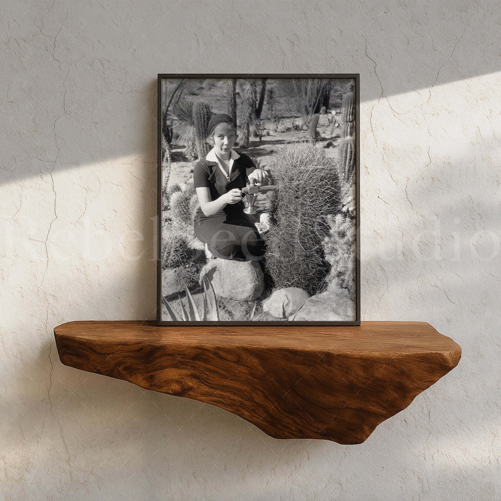 Prohibition in Palm Springs: Spiking the Barrel Cactus - Funny Vintage Black & White Photograph (Art Print)