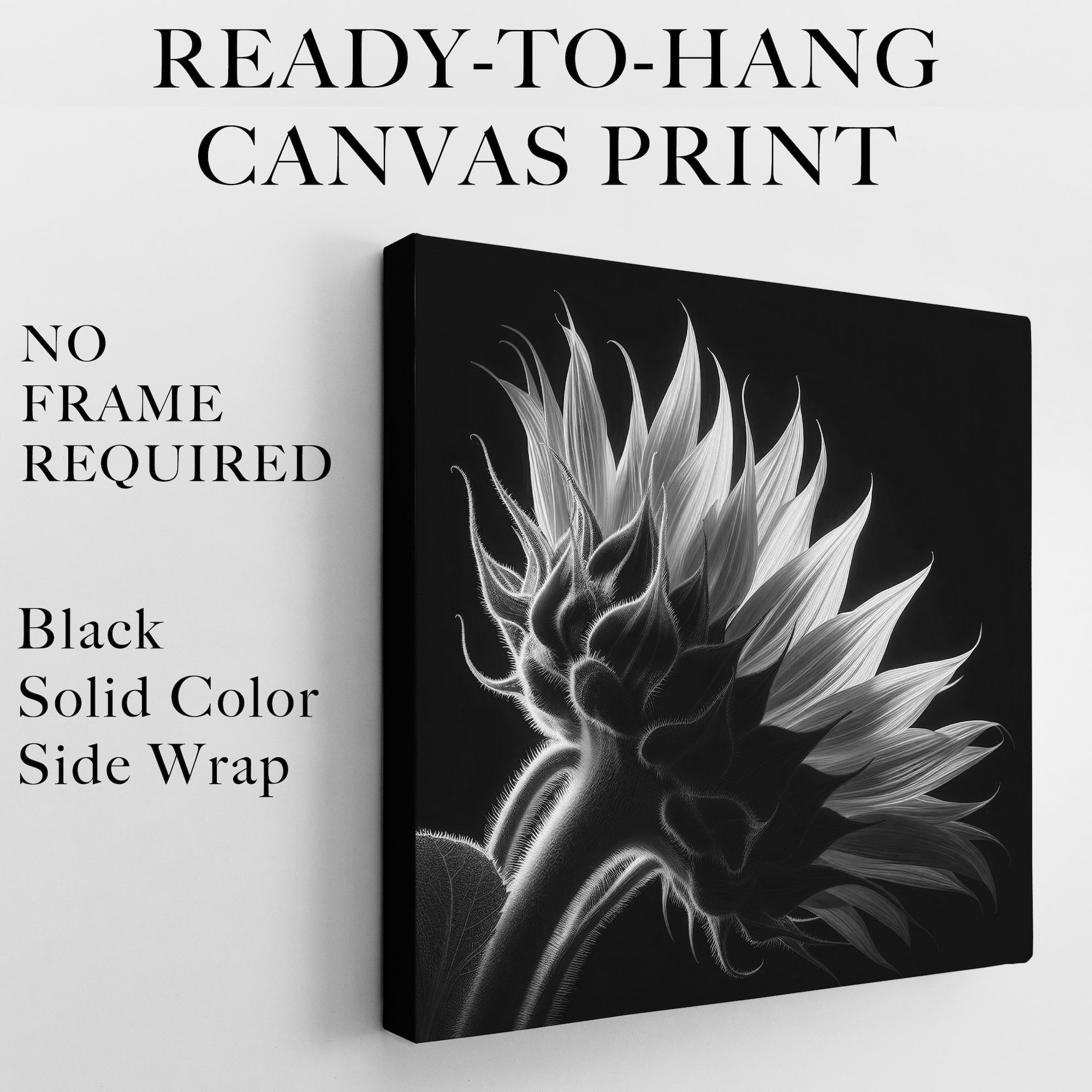 Sunflower: Black & White Nature Silhouette (Ready-to-Hang Canvas or Ready-to-Frame Fine Art Poster Print)