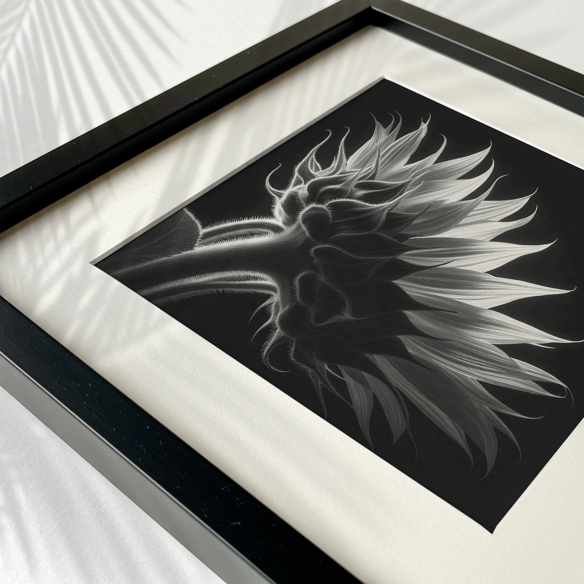 Sunflower: Black & White Nature Silhouette (Art Print)