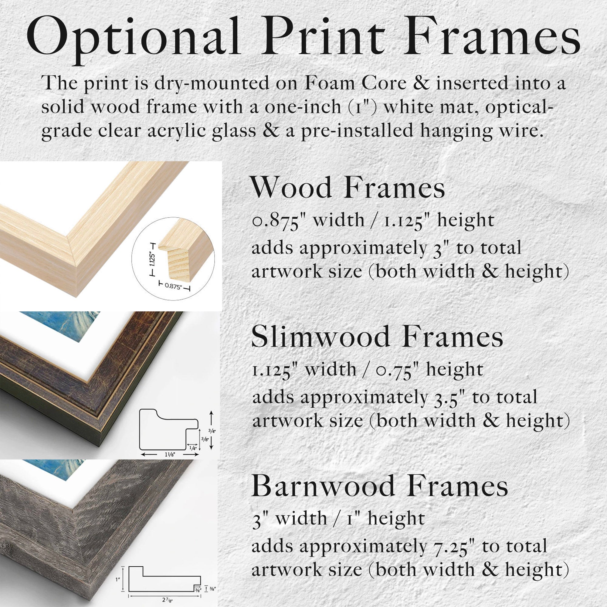 Swamp Fox: Revolutionary War Patriot - Black & White American Independence Soldier (Art Print)