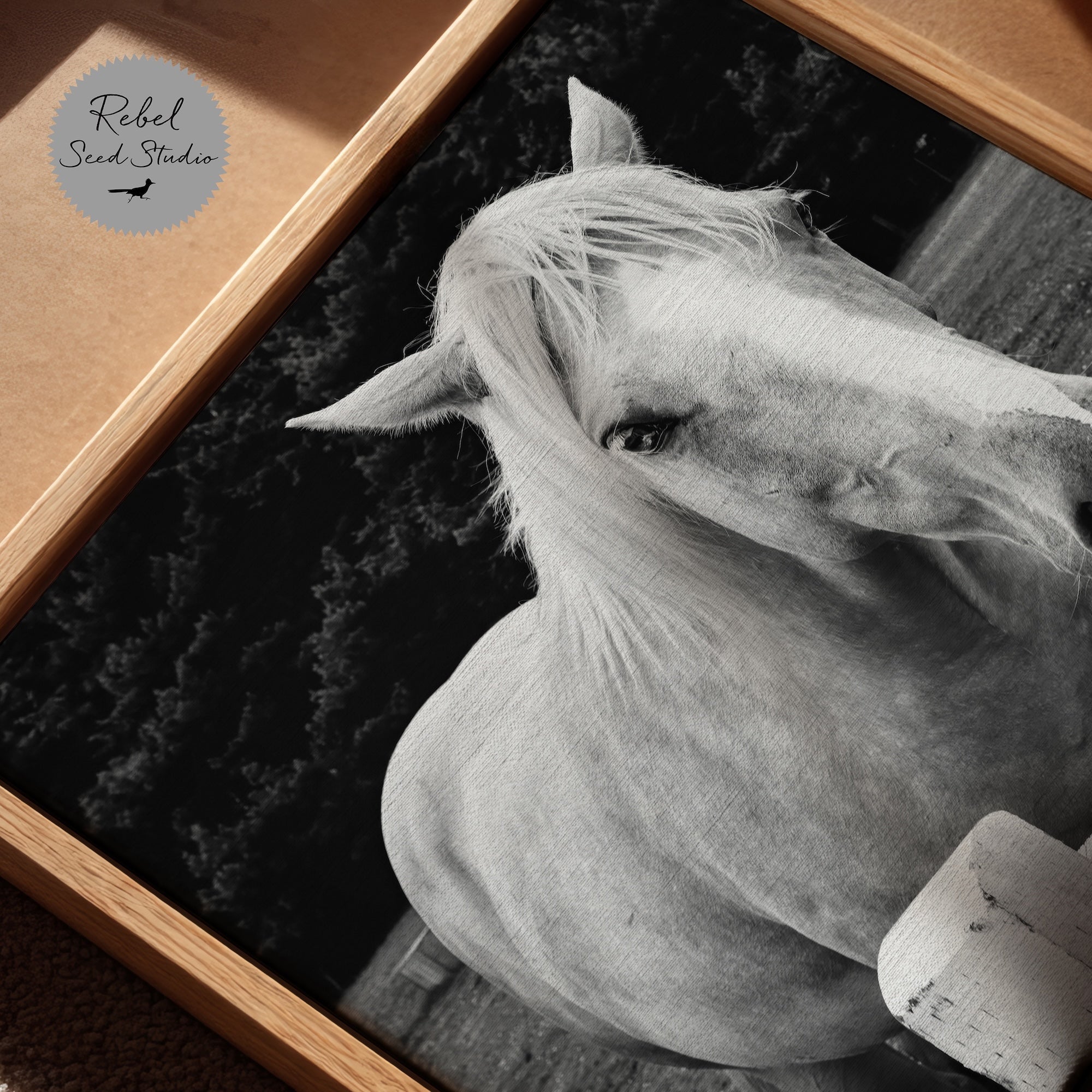 Timid Palomino Horse: Western Black & White Photograph (Ready-to-Hang Canvas or Ready-to-Frame Fine Art Poster Print)