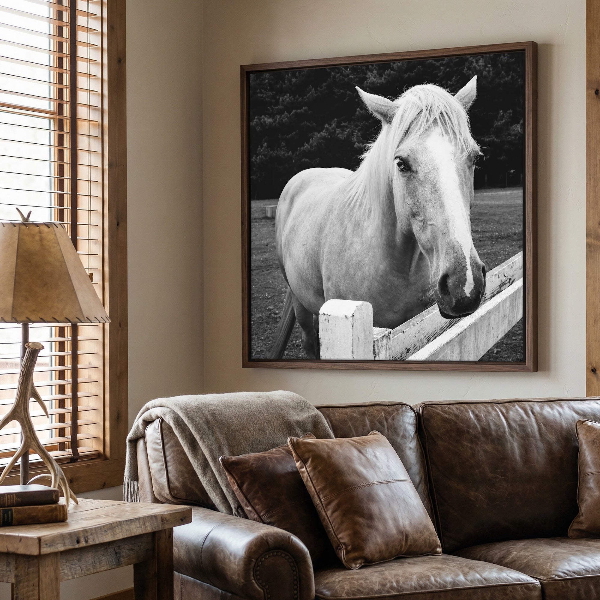 Timid Palomino Horse: Western Black & White Photograph (Art Print)