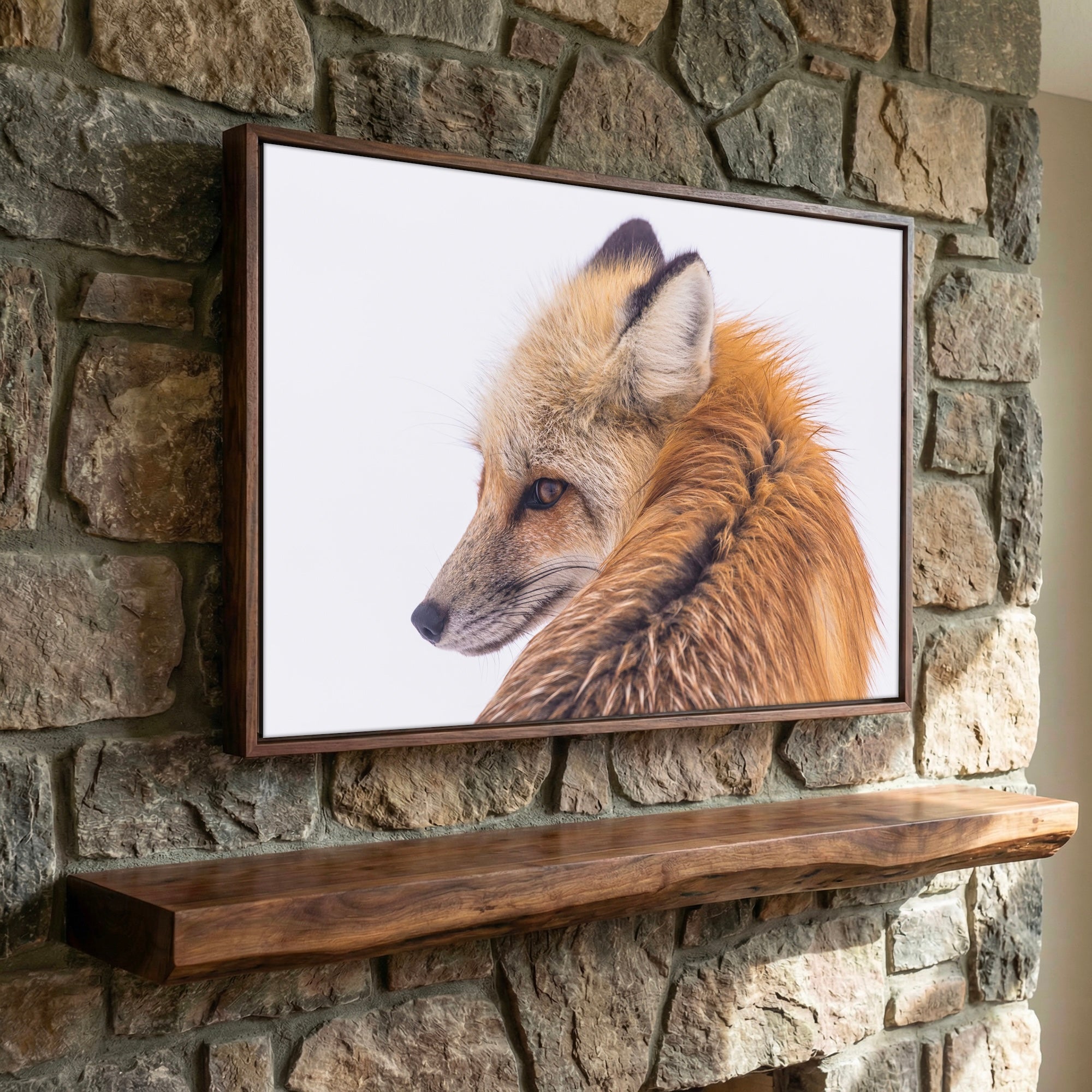 Fox in the Winter Snow: Wildlife Photograph - Western Art Print