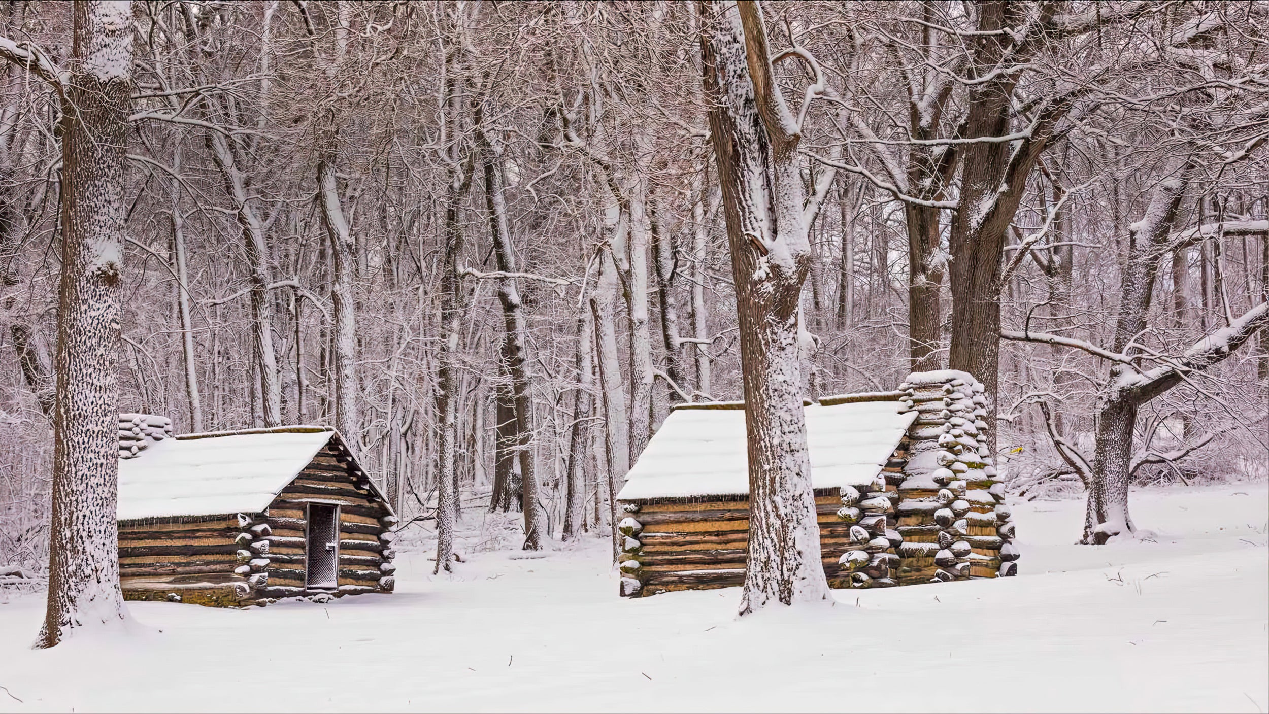 Washington at Valley Forge - Image of Snow Covered Cabins at Valley Forge