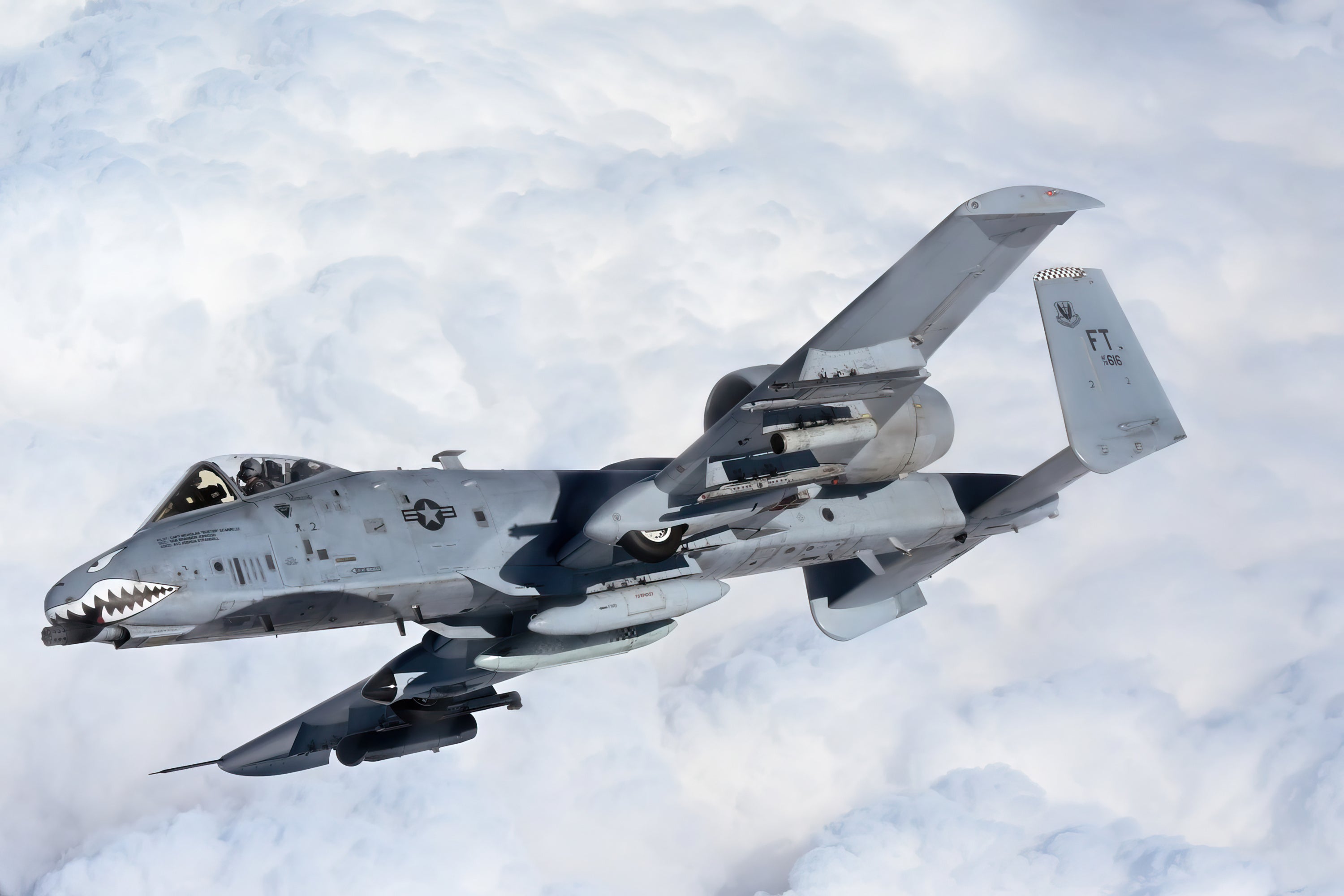 A-10 Thunderbolt II / 75th Fighter Squadron (Photography)