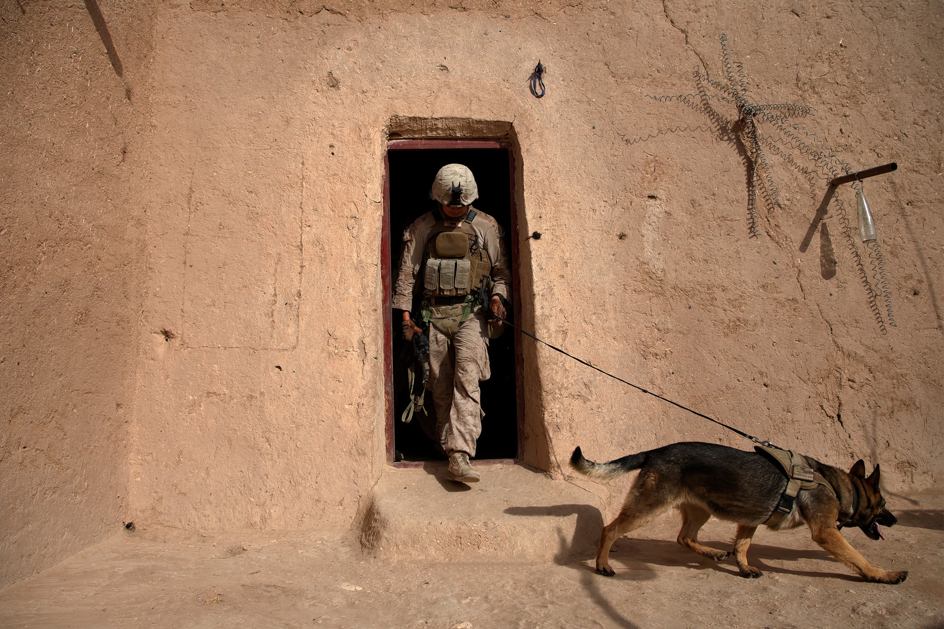 Devil Dogs Patrol - Operation Grizzly, Afghanistan (Photography)