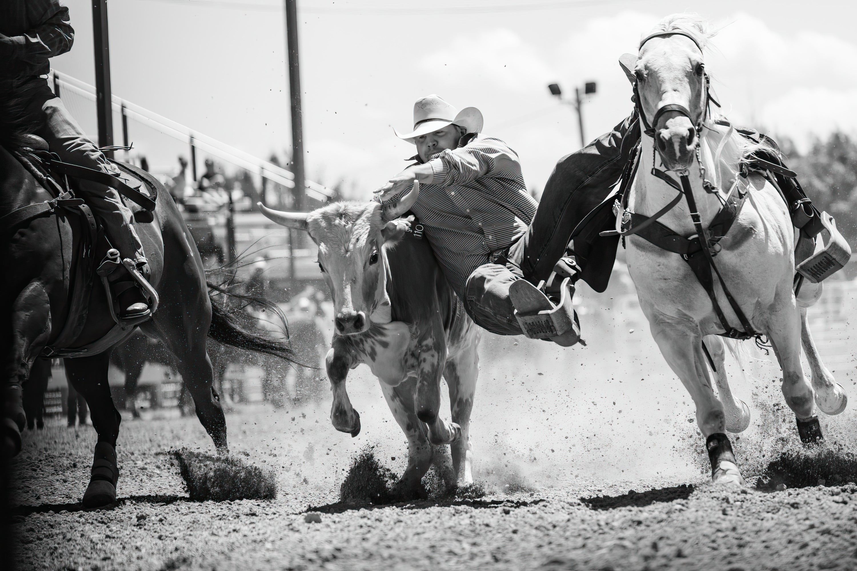Rodeo (Photography)
