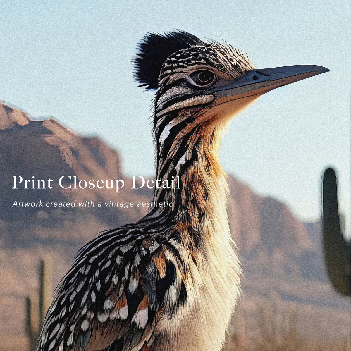 Roadrunner: Western Desert Wildlife Art Print