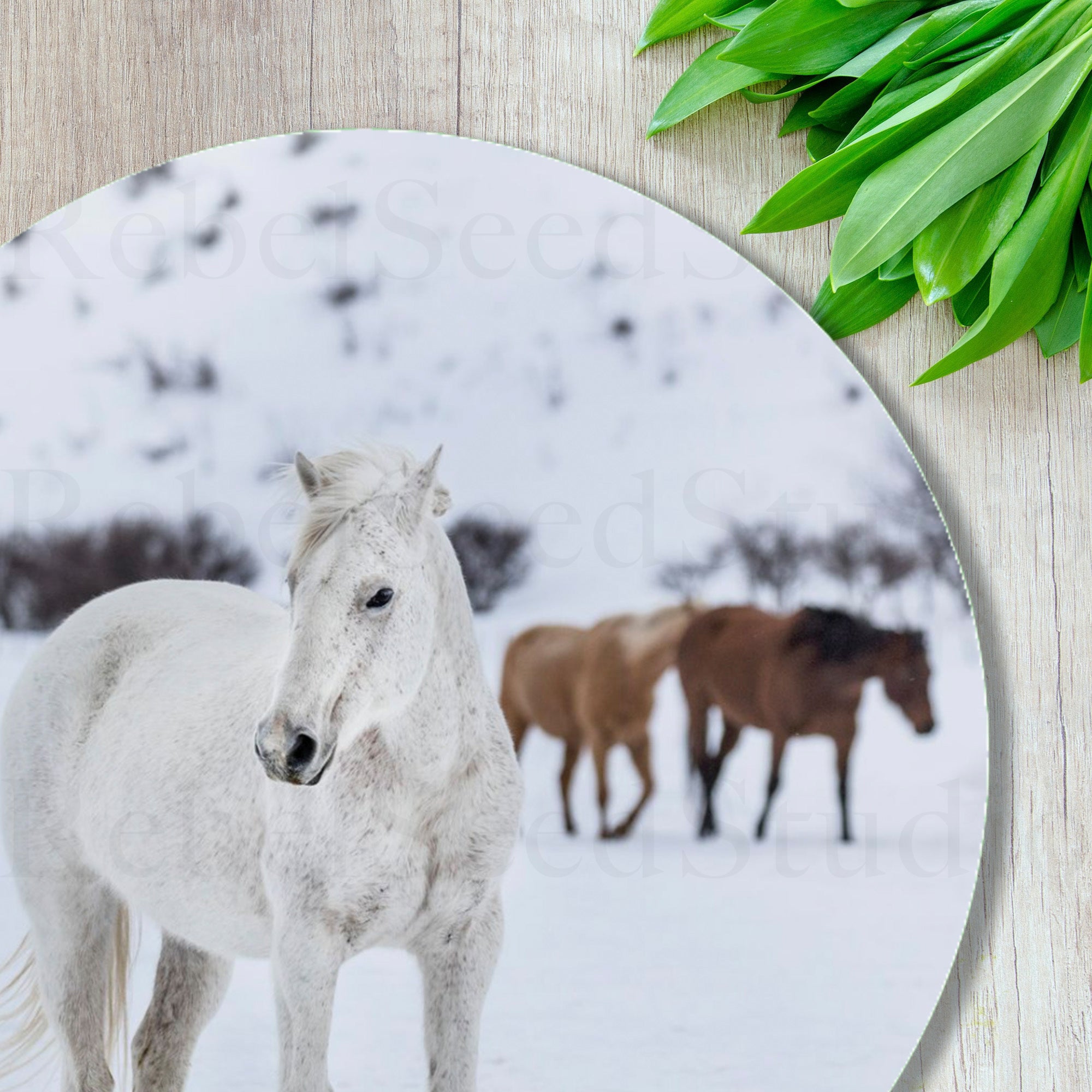 Curious Snow Horse - Cutting Board (Overstock Sale Item)
