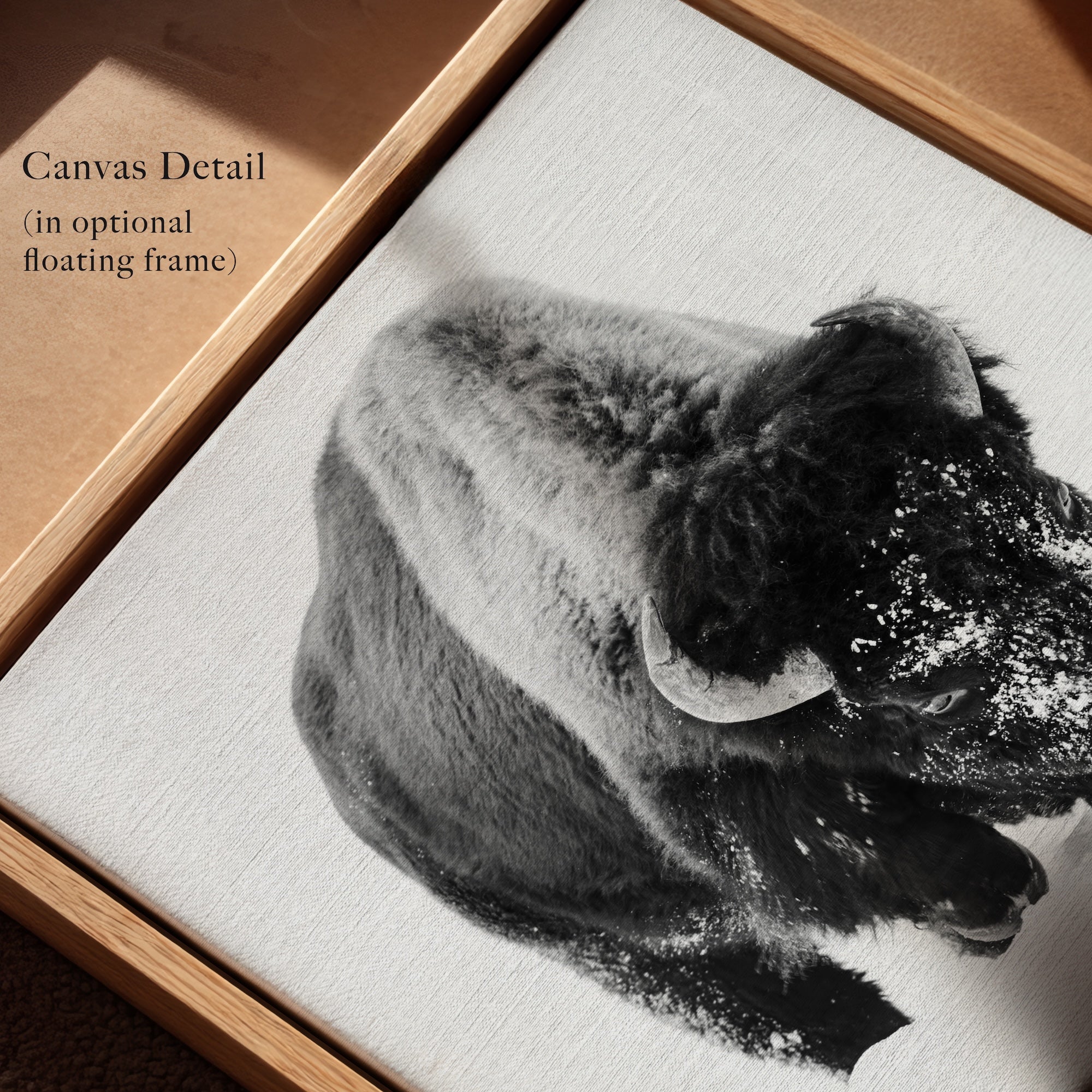 American Bison in the Winter Snow: Lone Buffalo - Black & White Photo Art Print