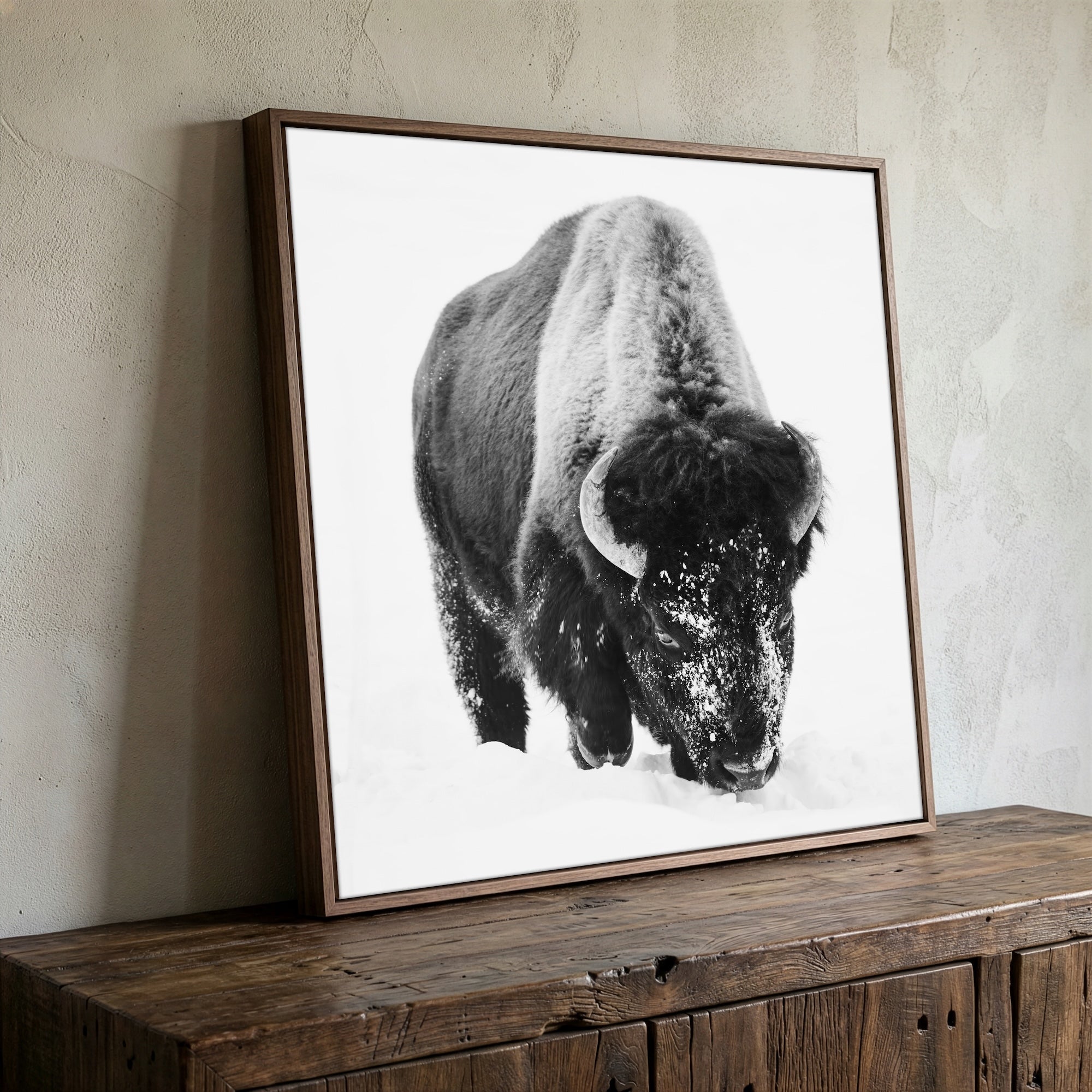 American Bison in the Winter Snow: Lone Buffalo - Black & White Photo Art Print