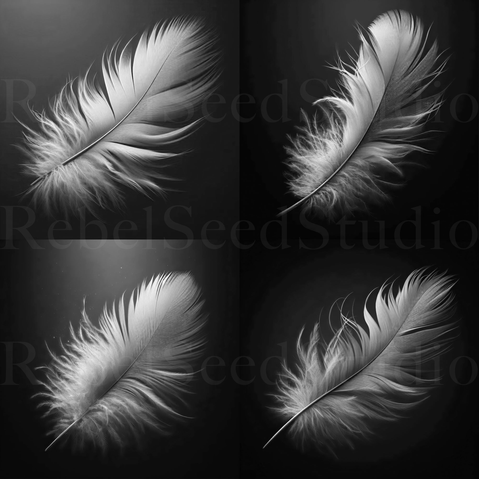 Black, White & Blue Feathers Bundle (Digital Download | Ready-to-Print Art)