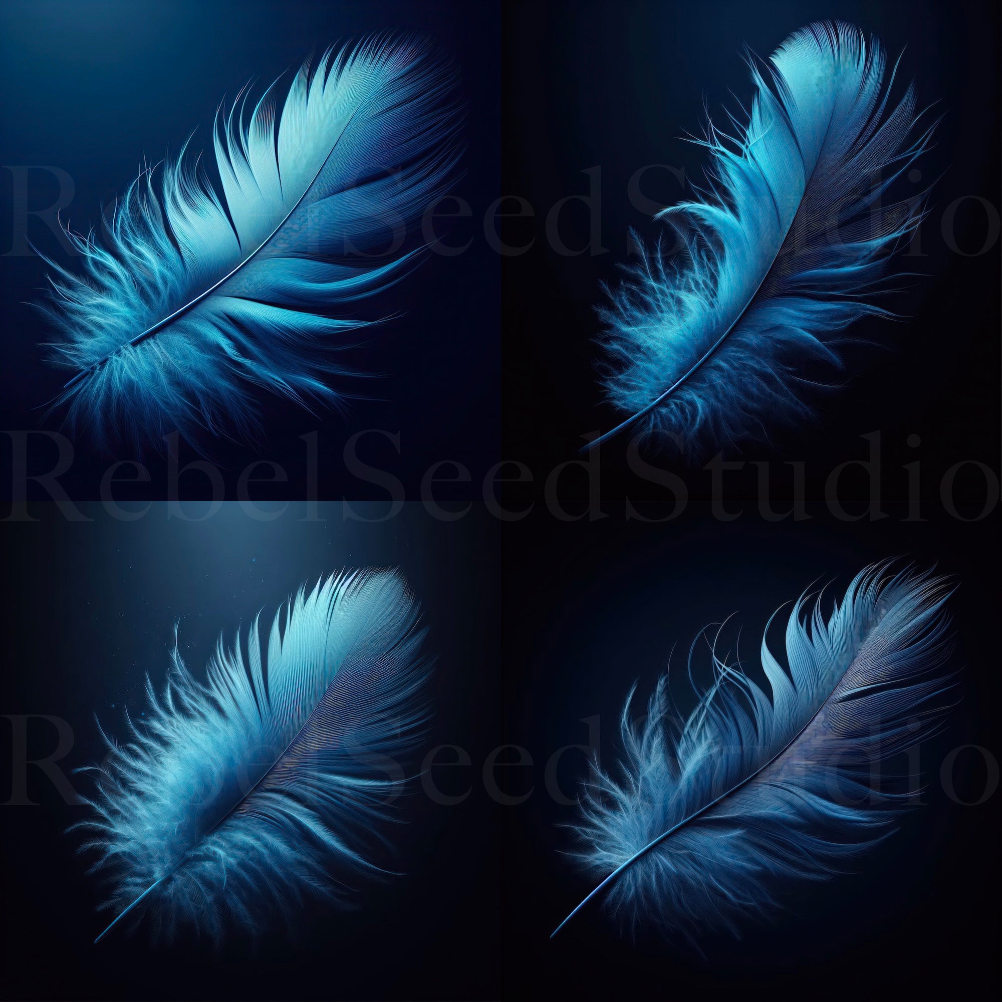 Black, White & Blue Feathers Bundle (Digital Download | Ready-to-Print Art)