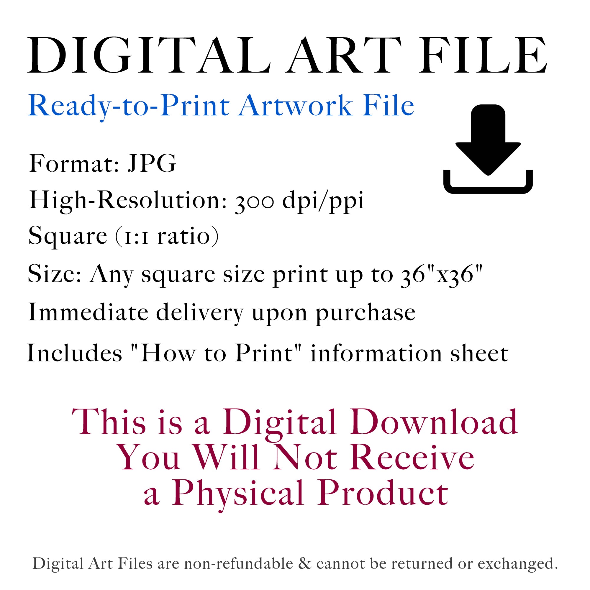Black, White & Blue Feathers Bundle (Digital Download | Ready-to-Print Art)