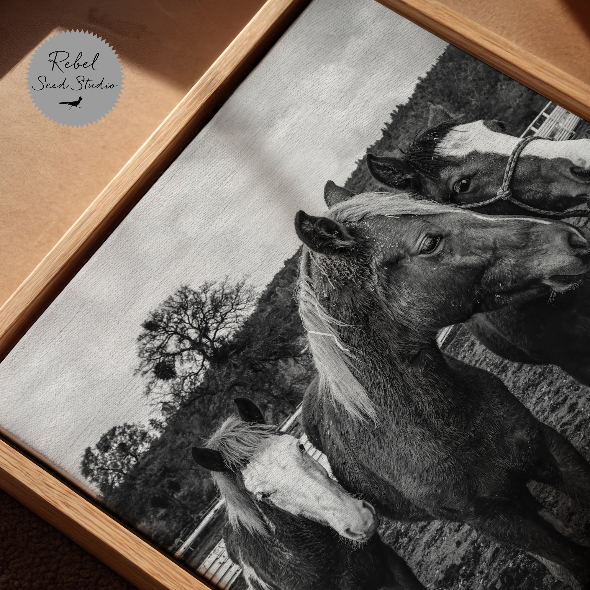 Corral Horses: Western Black & White Photograph (Art Print)