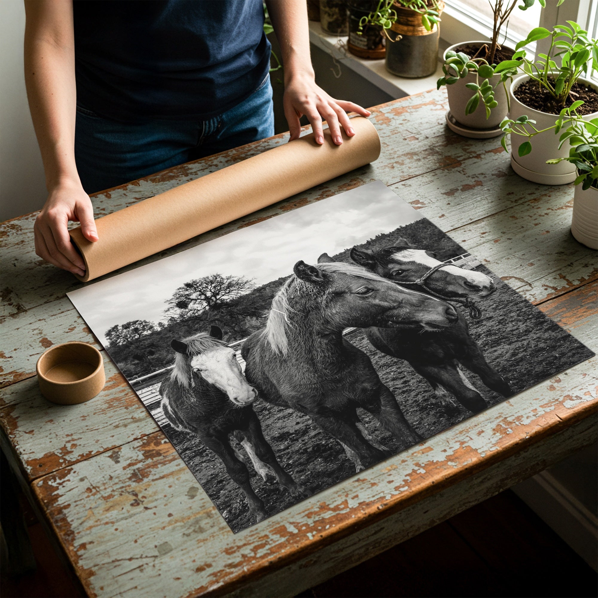 Corral Horses: Western Black & White Photograph (Art Print)