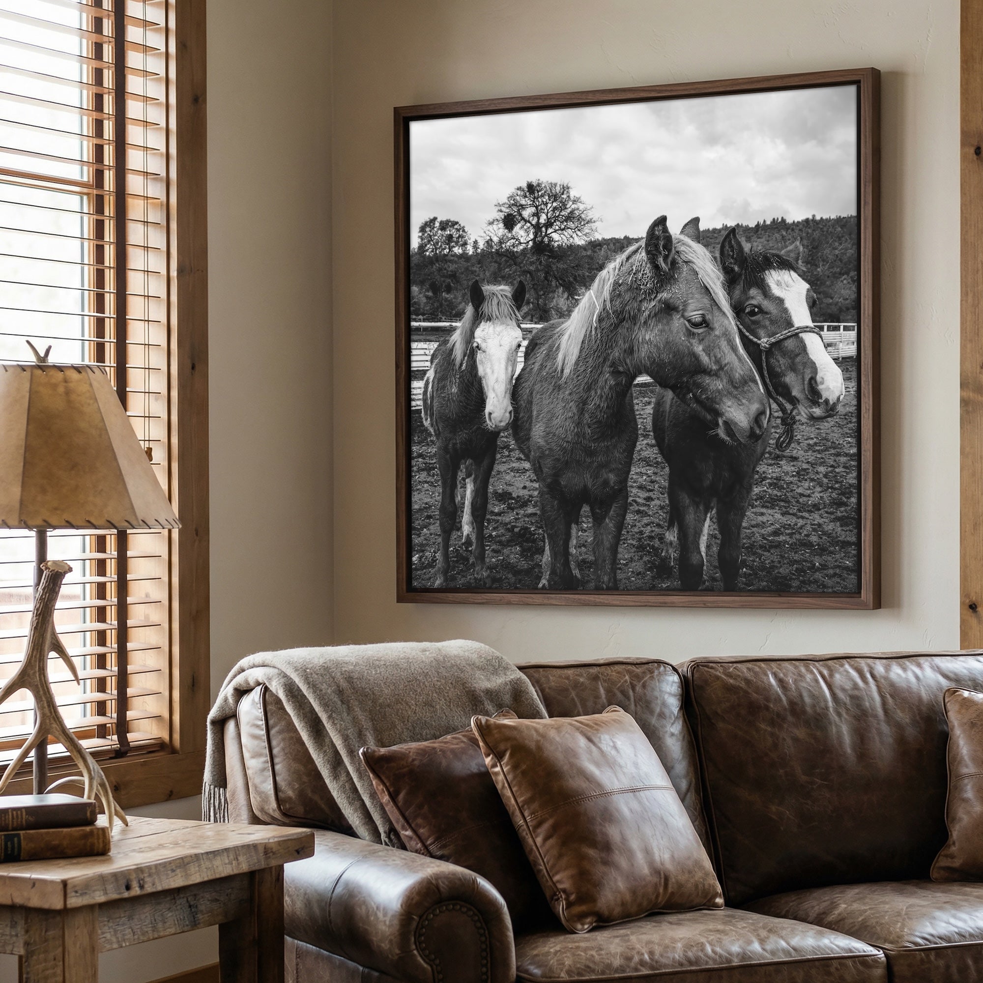 Corral Horses: Western Black & White Photograph (Art Print)