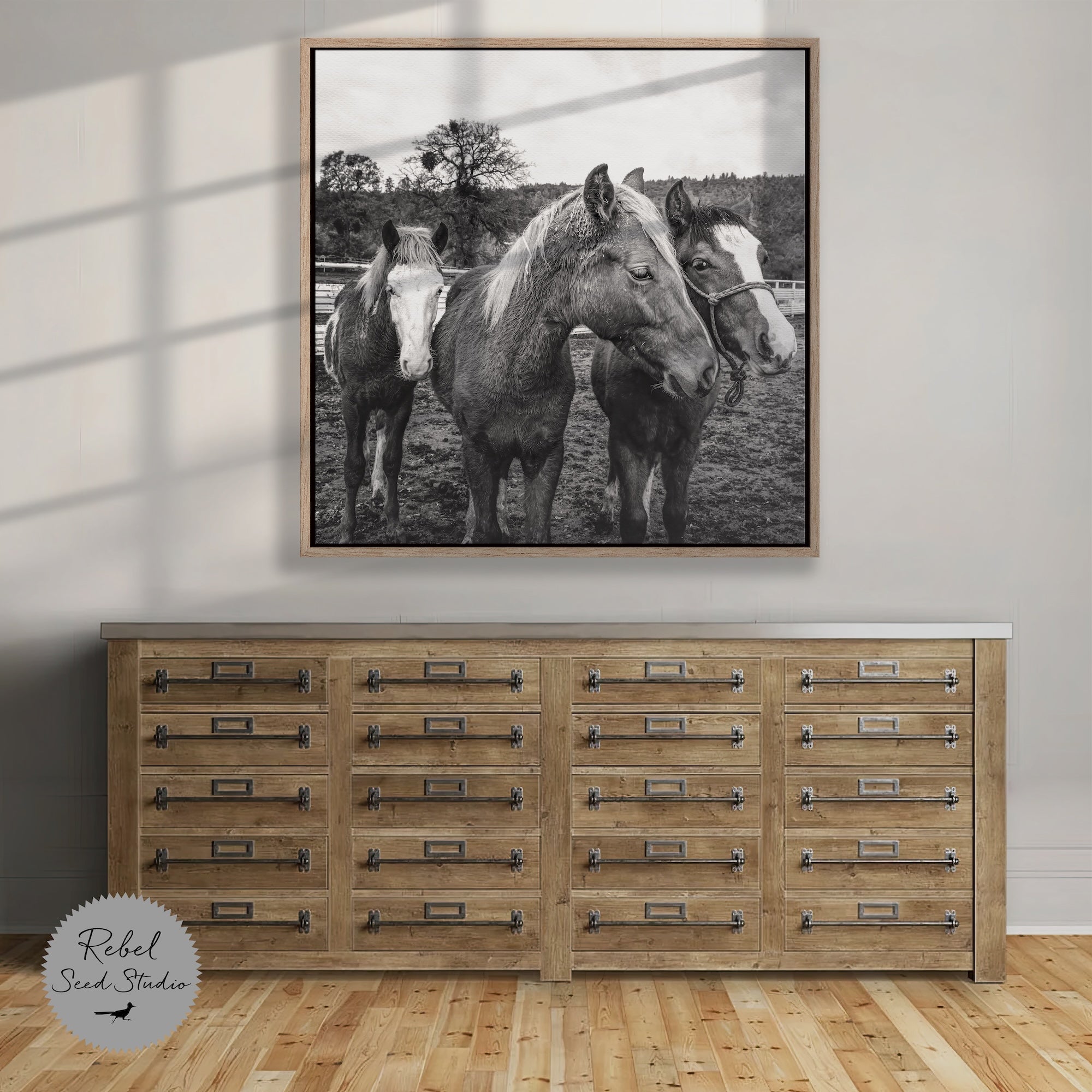 Corral Horses: Western Black & White Photograph (Art Print)
