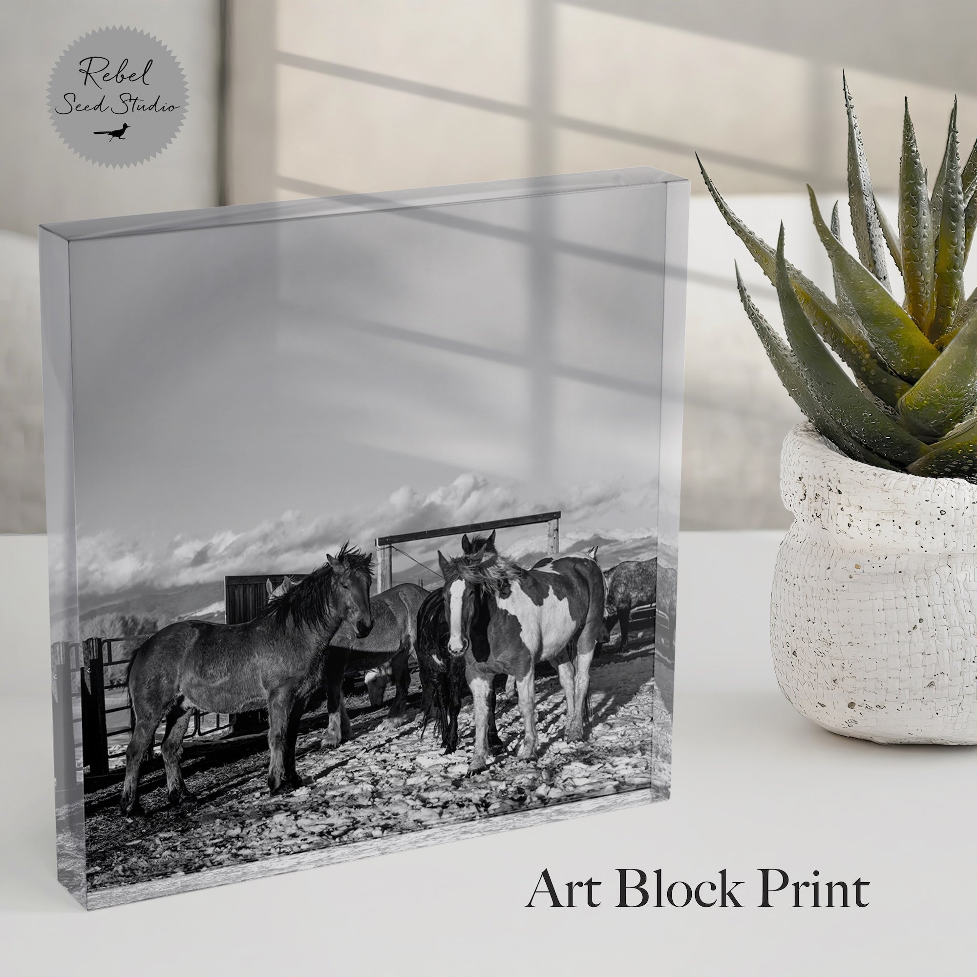 Corral Horses II | Western Black & White Photograph (Art Print)