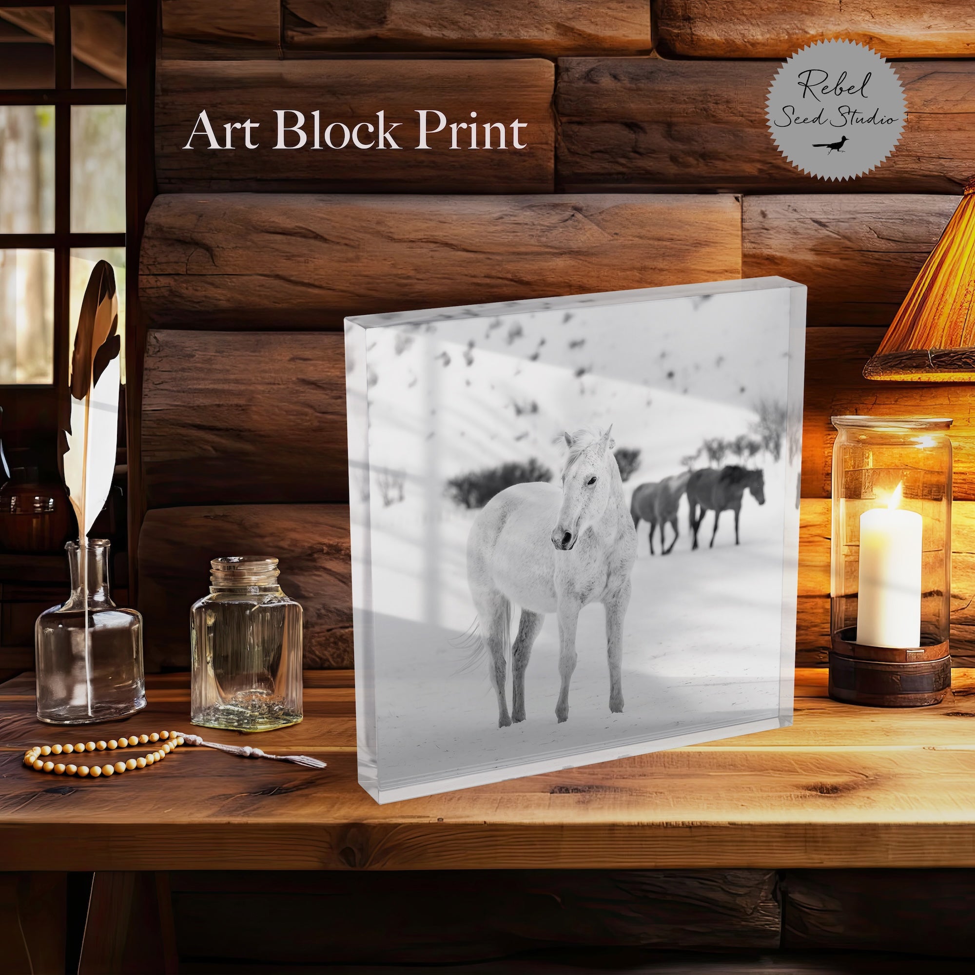 Curious Snow Horse | Western Photograph (Art Print)