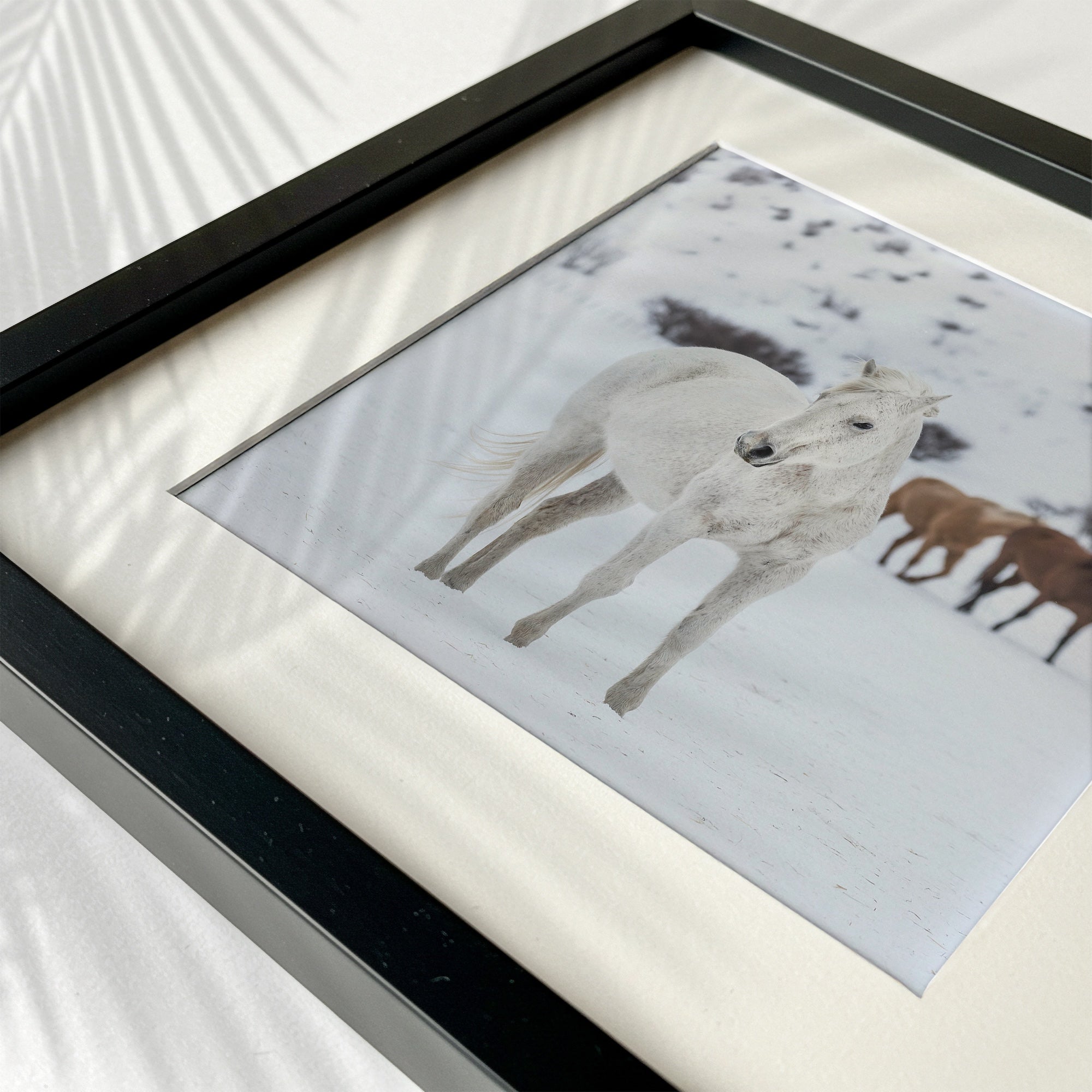 Curious Snow Horse: Whimsical Western Photograph (Art Print)