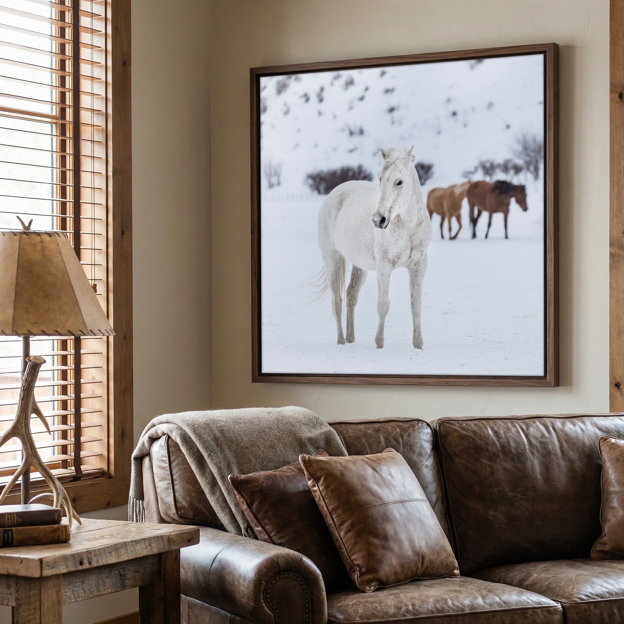 Curious Snow Horse: Whimsical Western Photograph (Art Print)