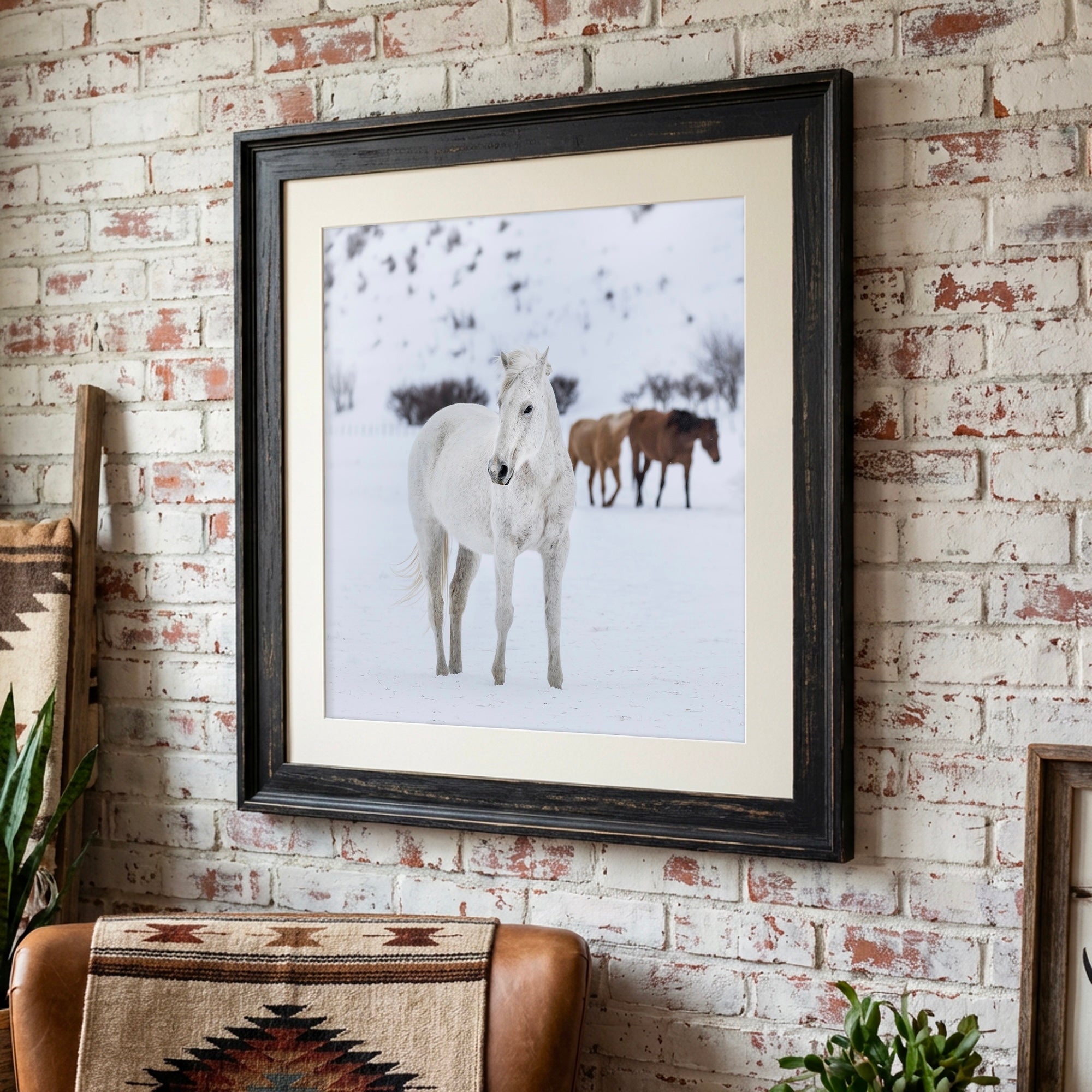 Curious Snow Horse: Whimsical Western Photograph (Art Print)
