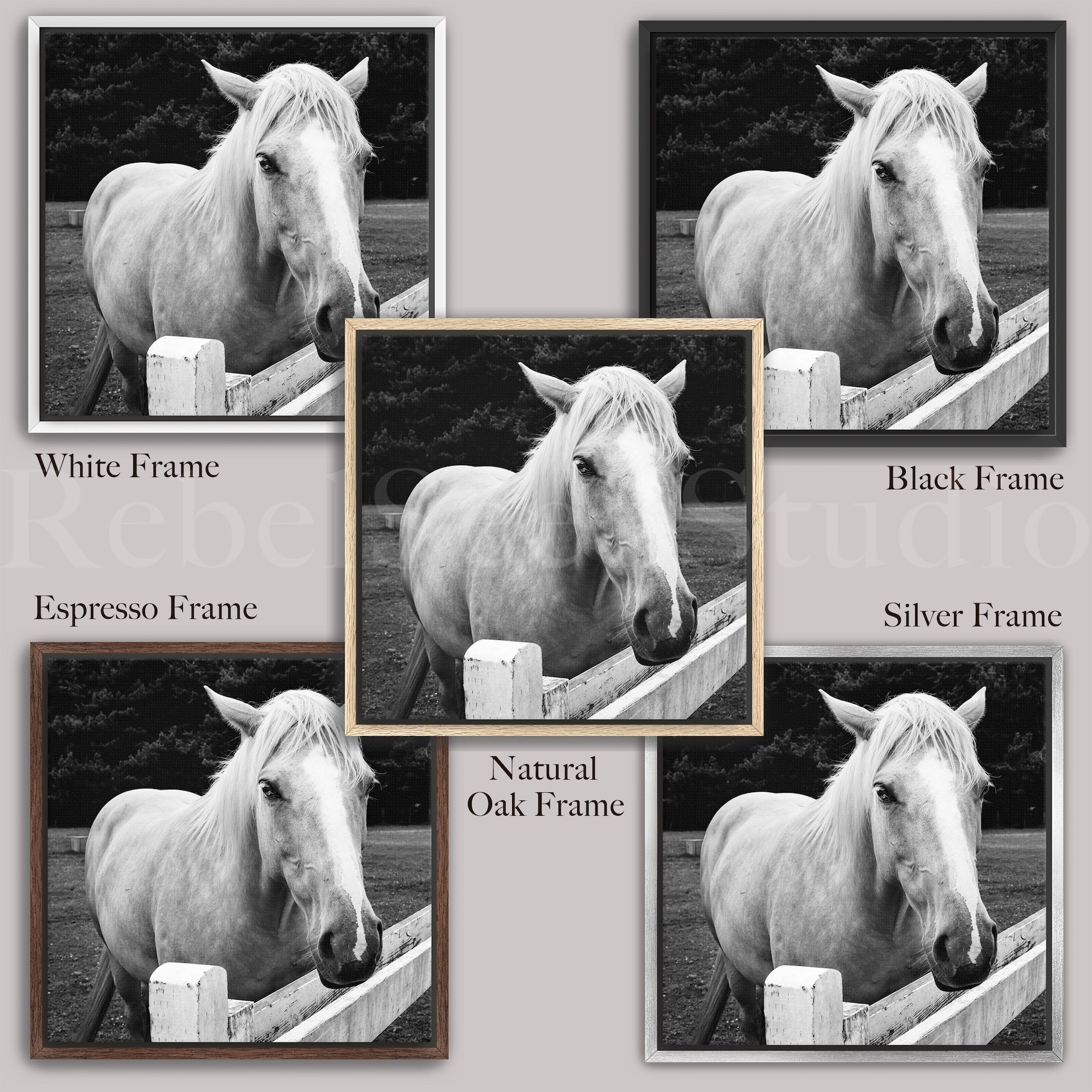 Timid Palomino Horse & Daniel Boone Quote Bundle: All You Need for Happiness Is A Good Gun, A Good Horse, and A Good Wife (Ready-to-Hang Canvas or Ready-to-Frame Fine Art Poster Print Set)