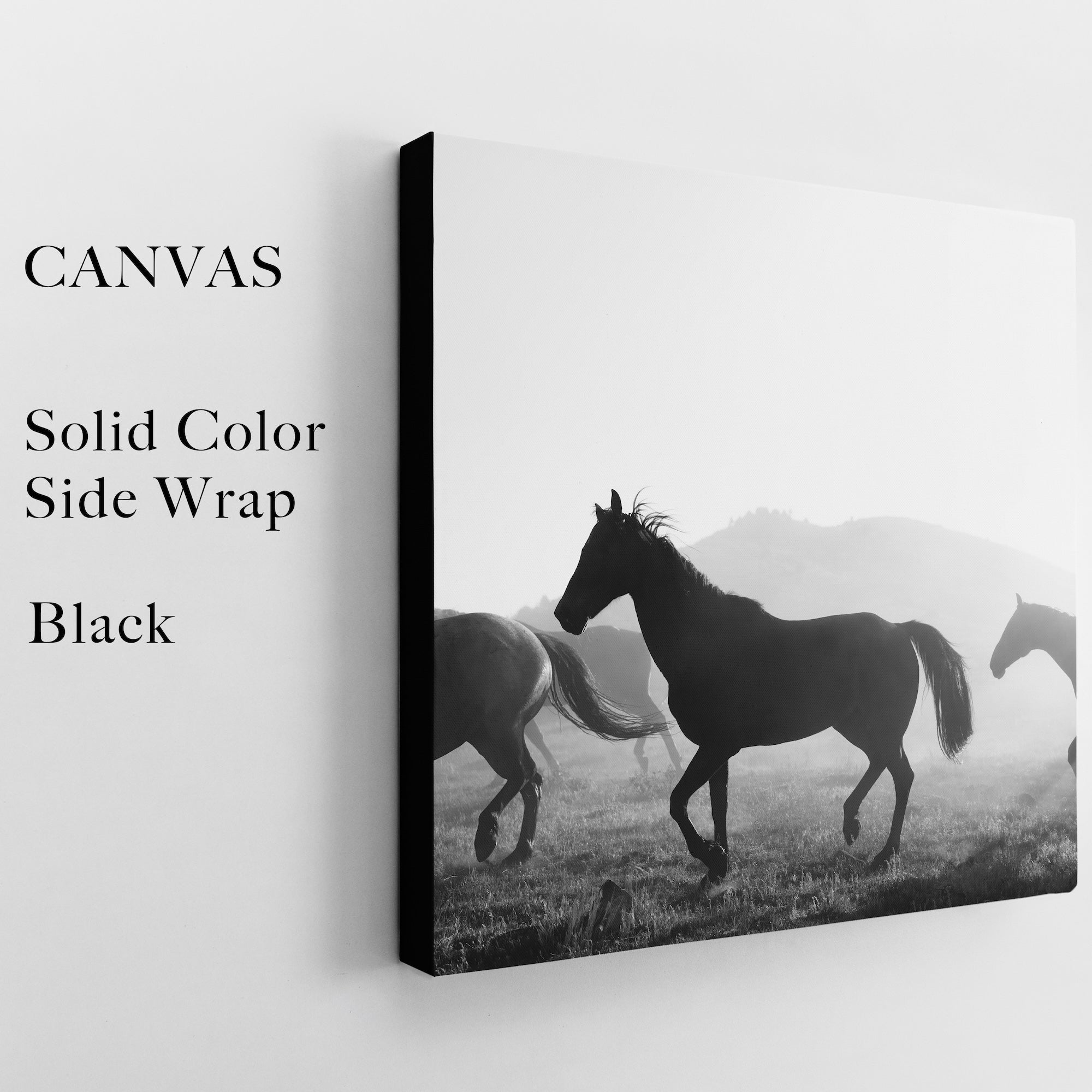 Horses | Daniel Boone Quote: All You Need For Happiness Is A Good Gun, A Good Horse & A Good Wife (Art Print Bundle)